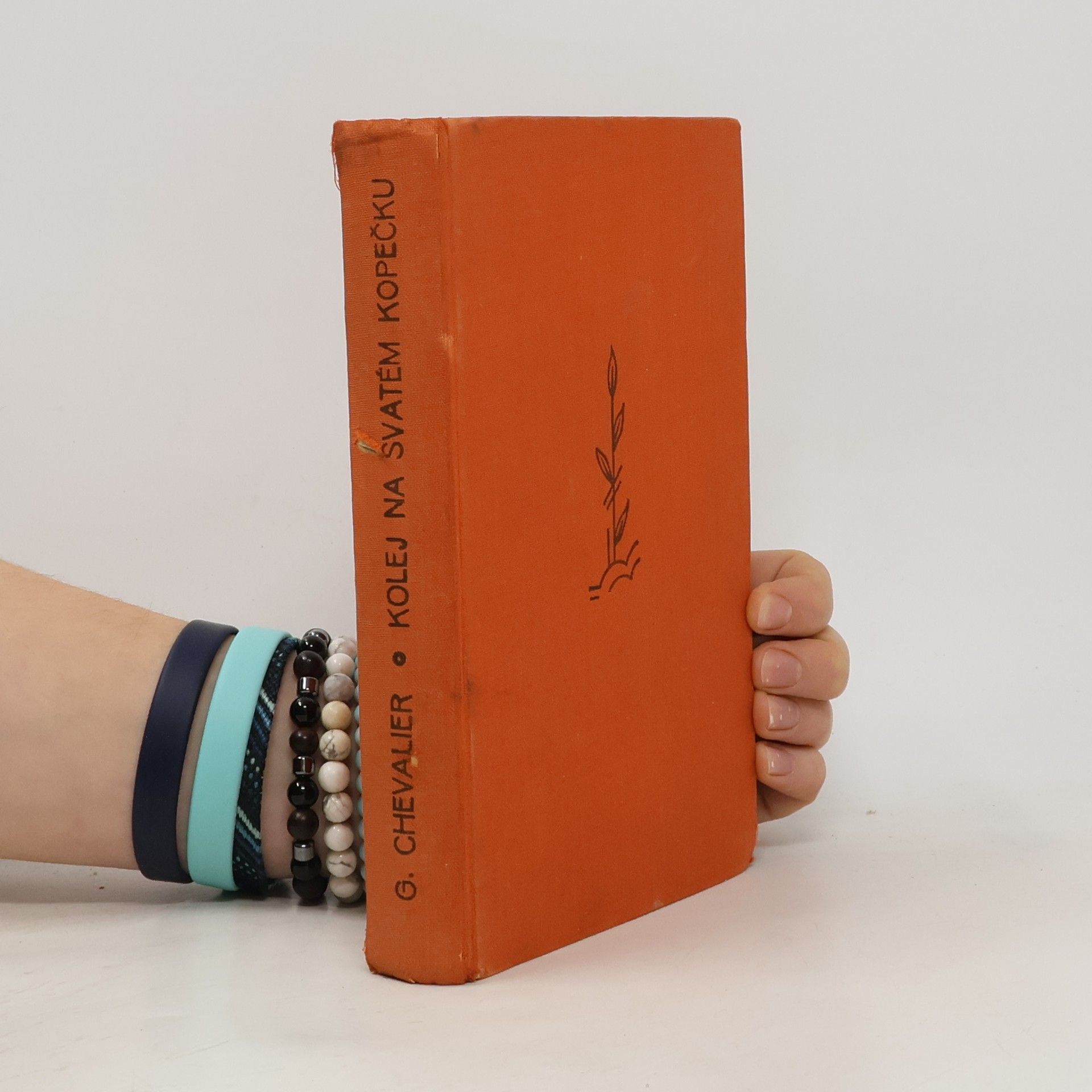 Kolej na svatém kopečku