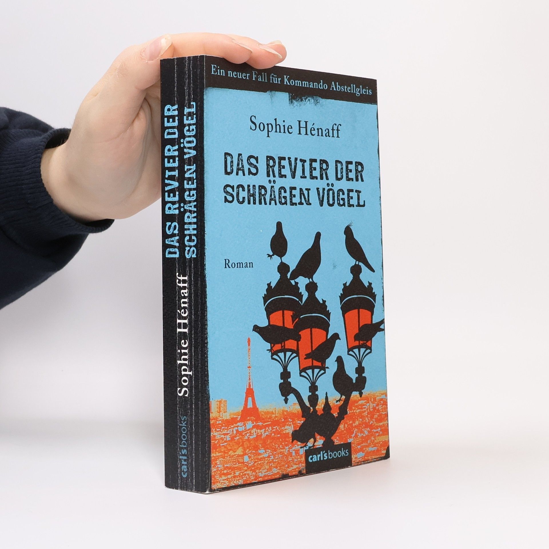 Sophie Hénaff Das Revier der schrägen Vögel