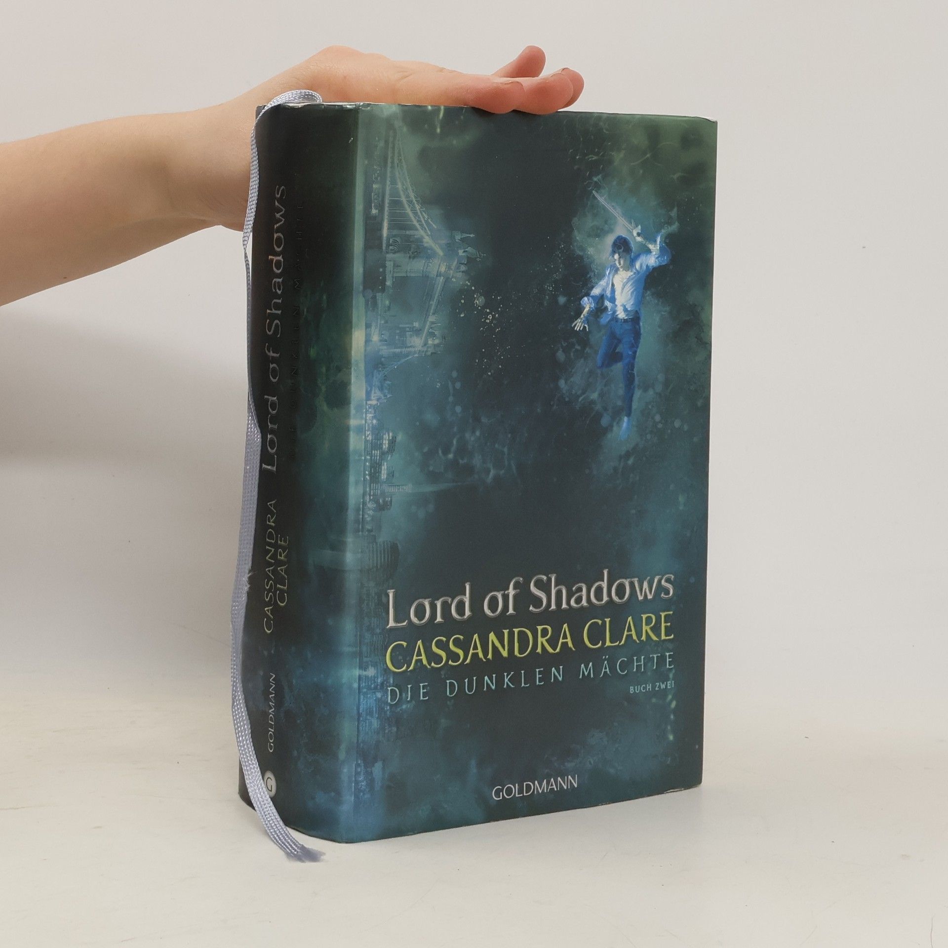 Lord of Shadows. Die dunklen Mächte. Buch 2