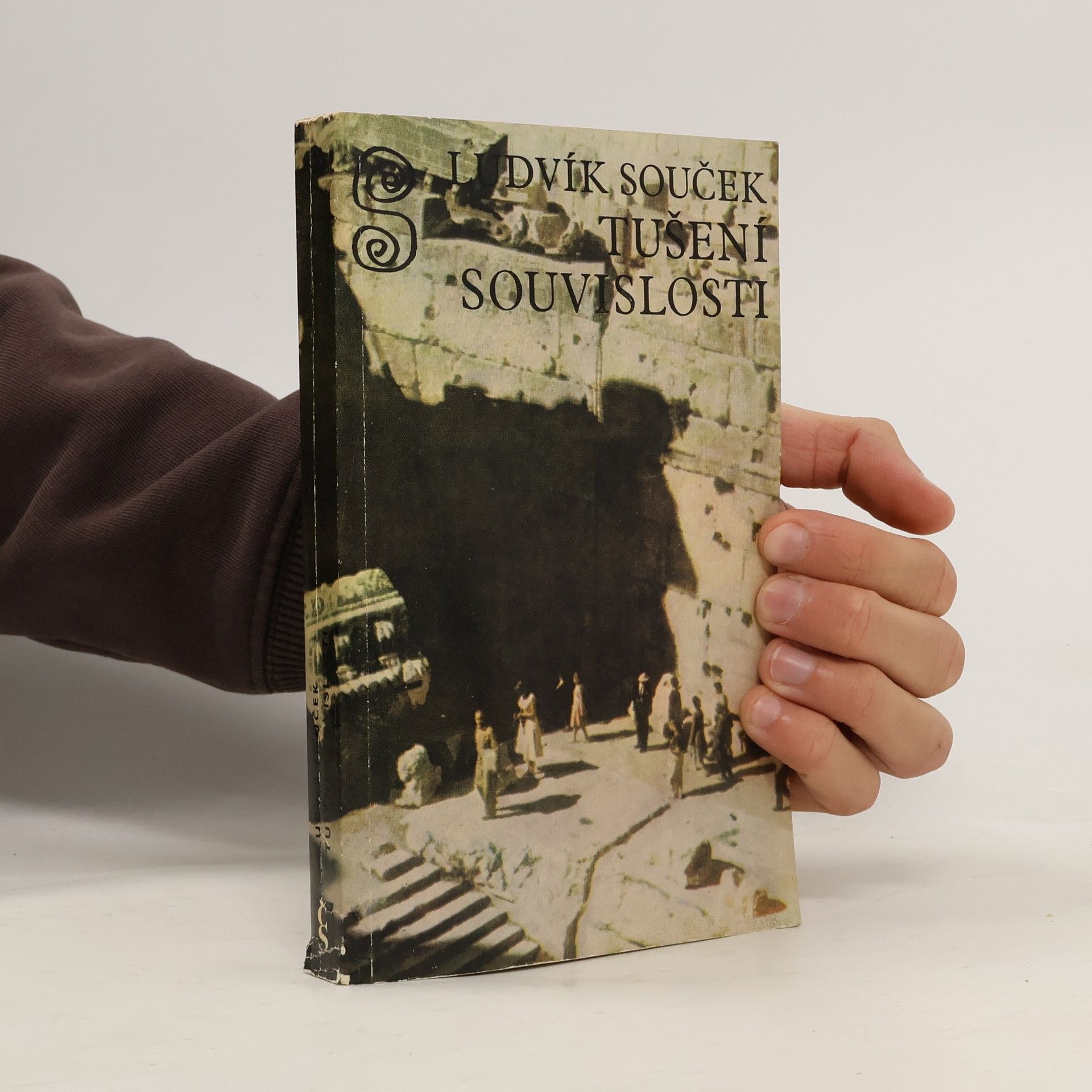 Ludvík Souček Tušení souvislosti