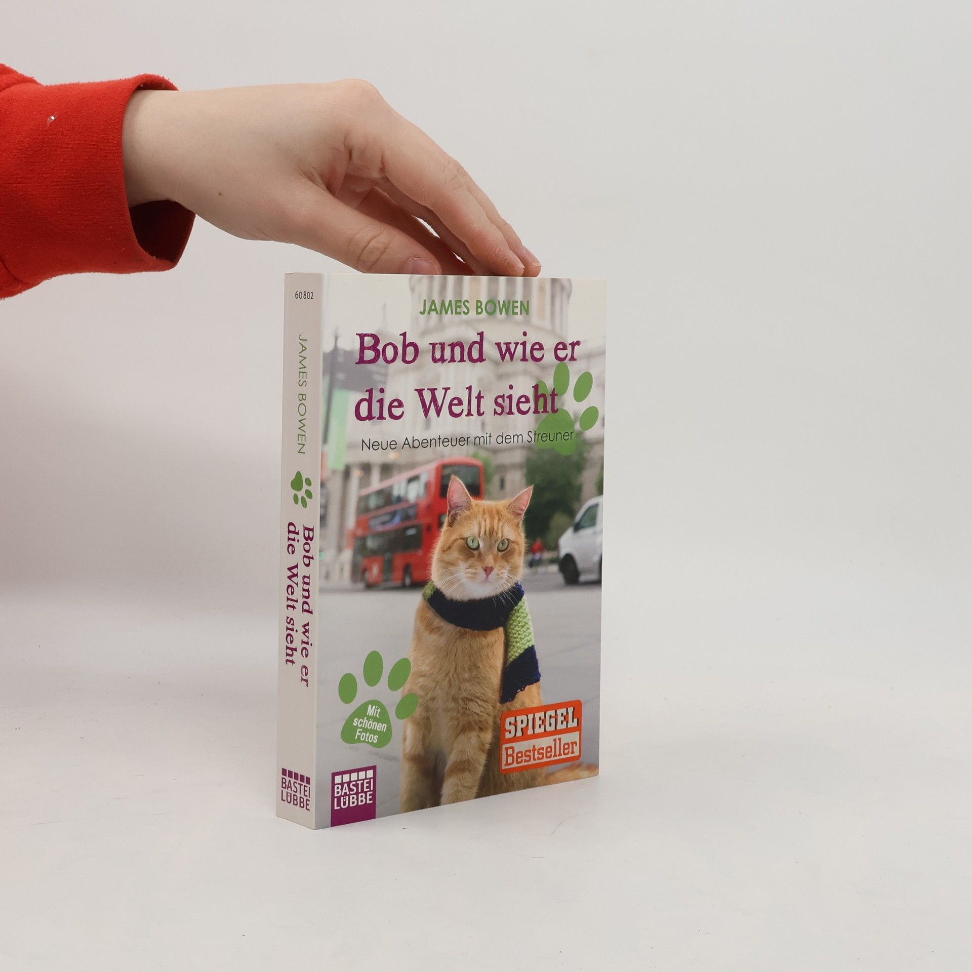 James Bowen Bob und wie er die Welt sieht