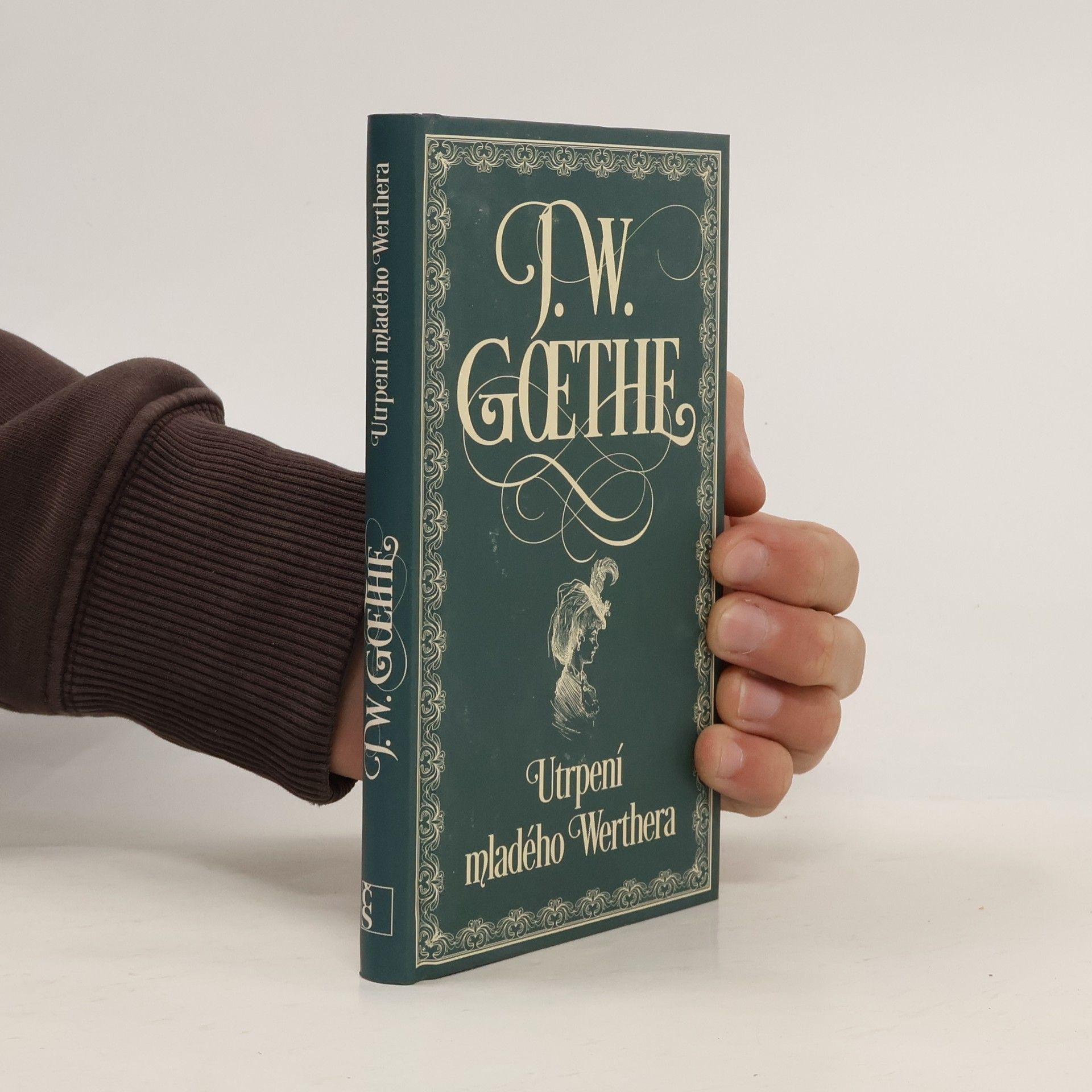 Utrpení mladého Werthera