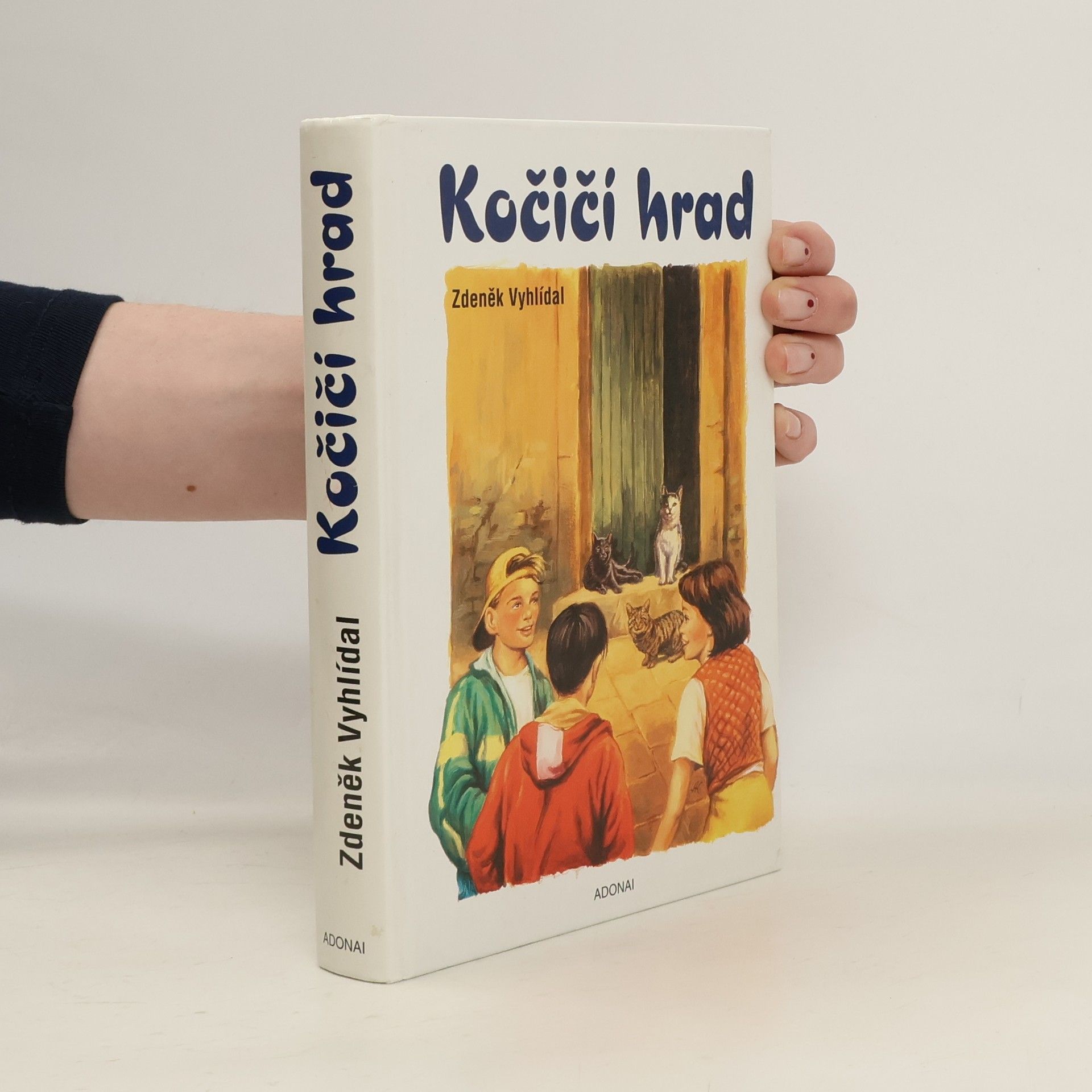 Zdeněk Vyhlídal Kočičí hrad