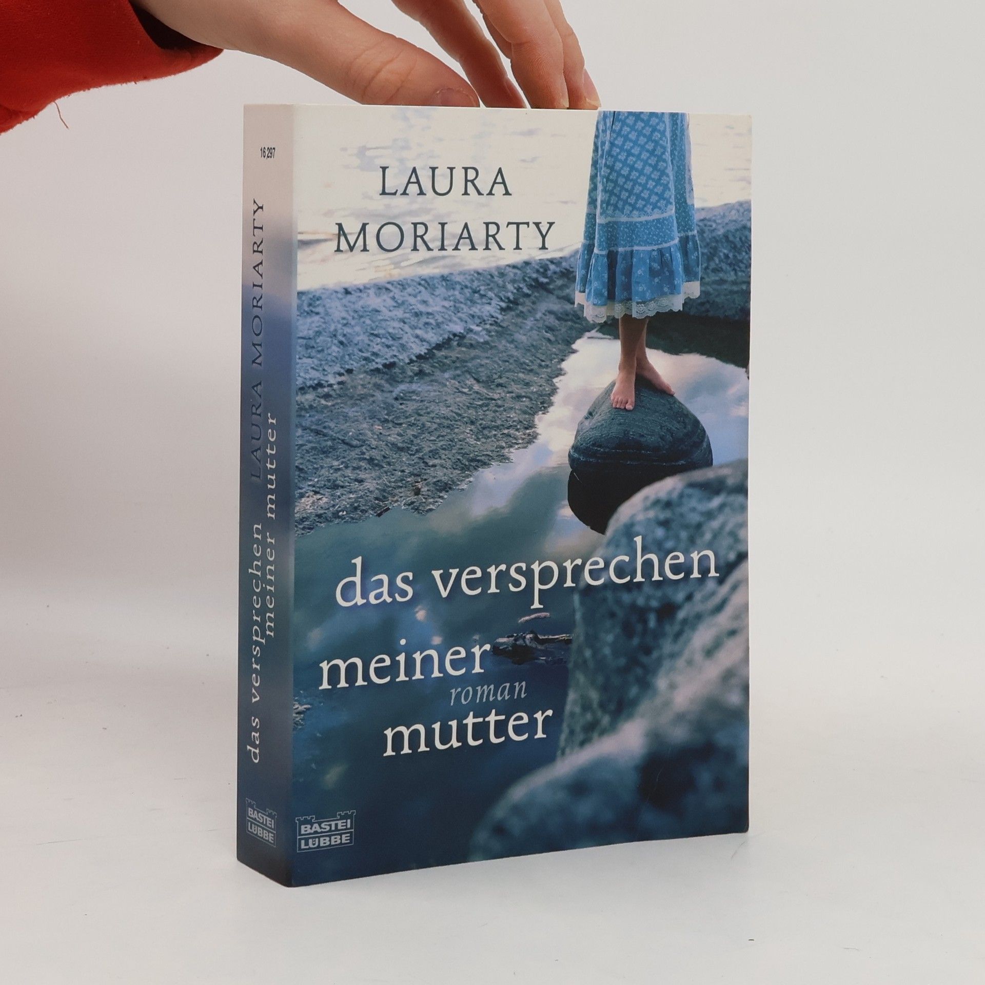 Laura Moriarty Das Versprechen meiner Mutter