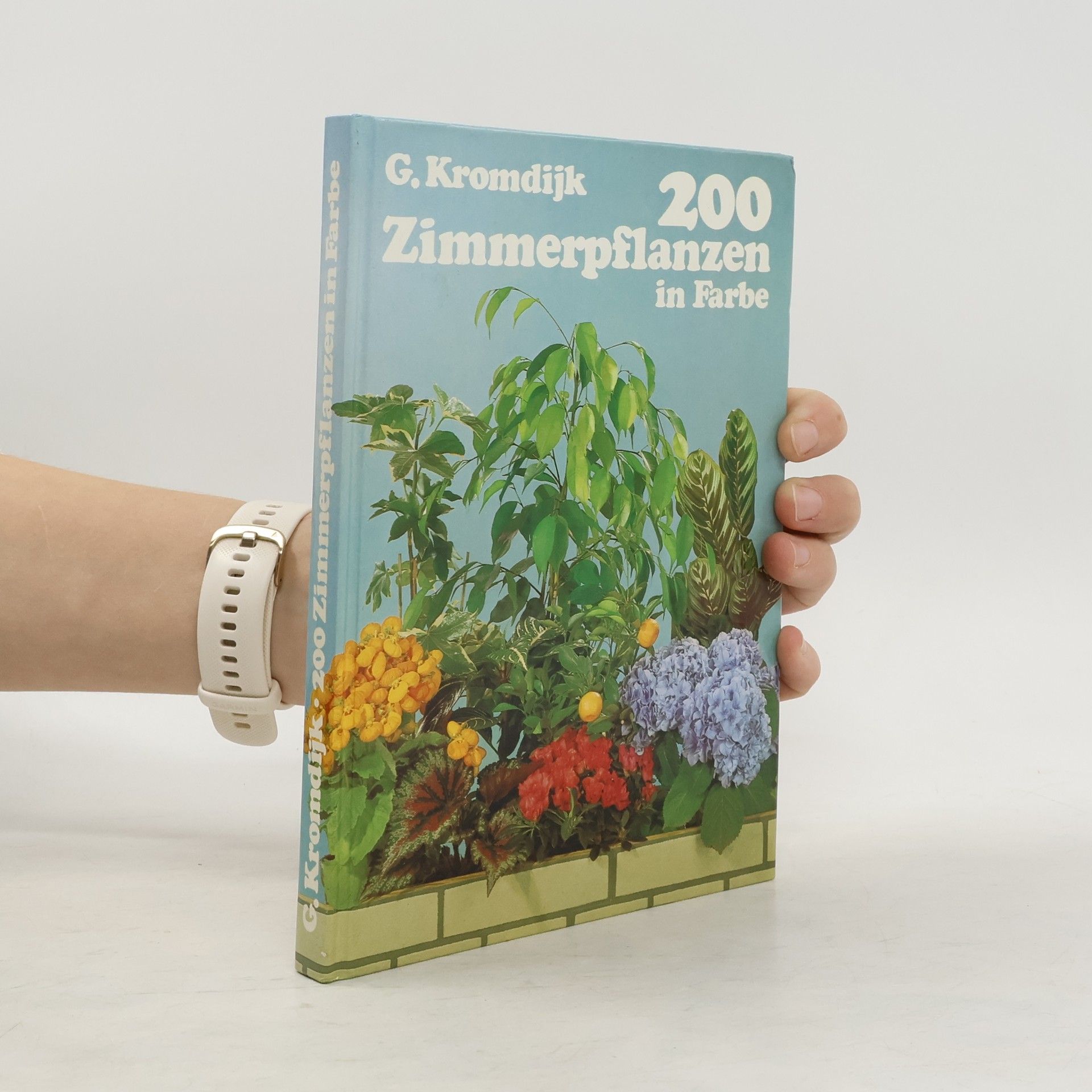 G. Kromdijk 200 Zimmerpflanzen in Farbe
