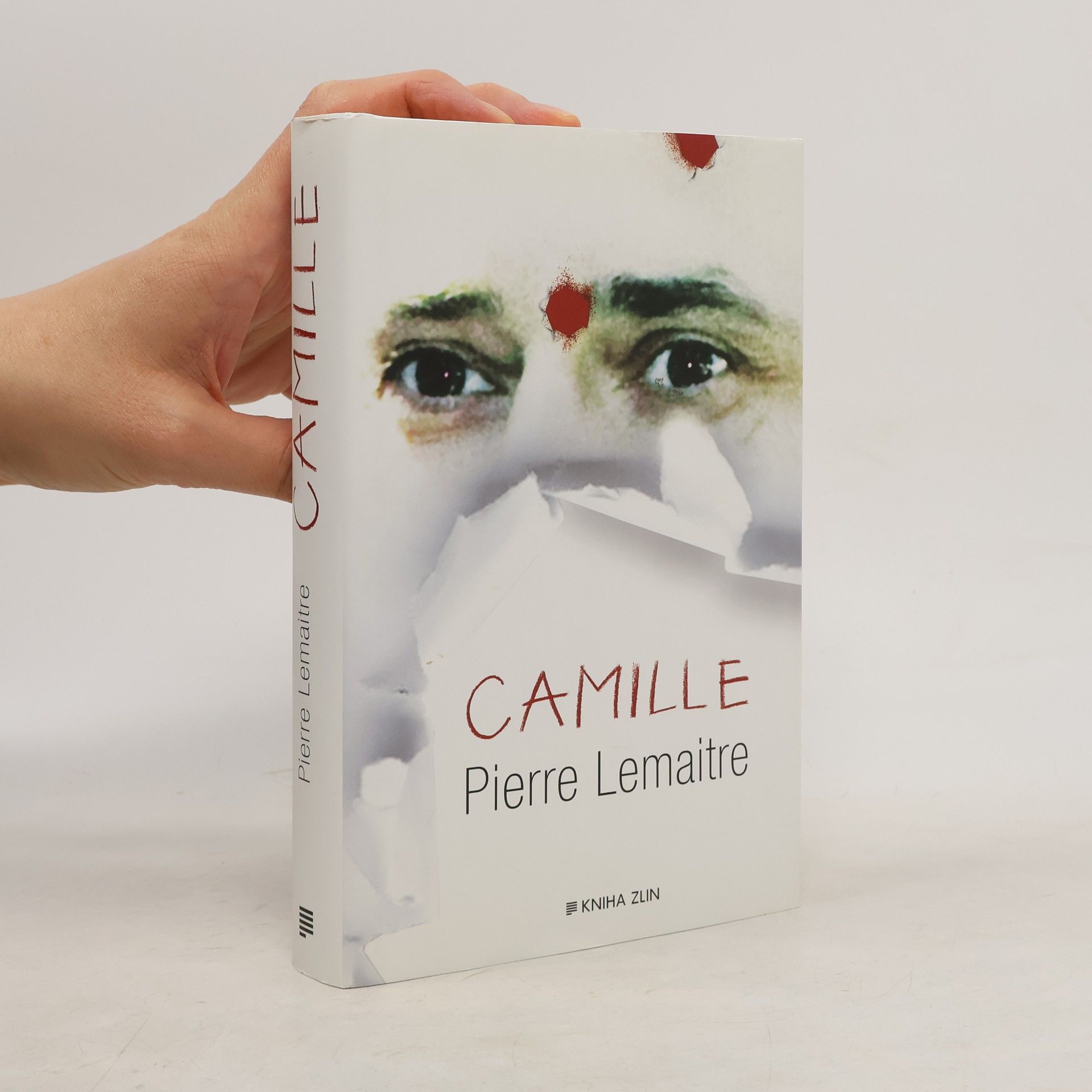 Pierre Lemaitre Camille