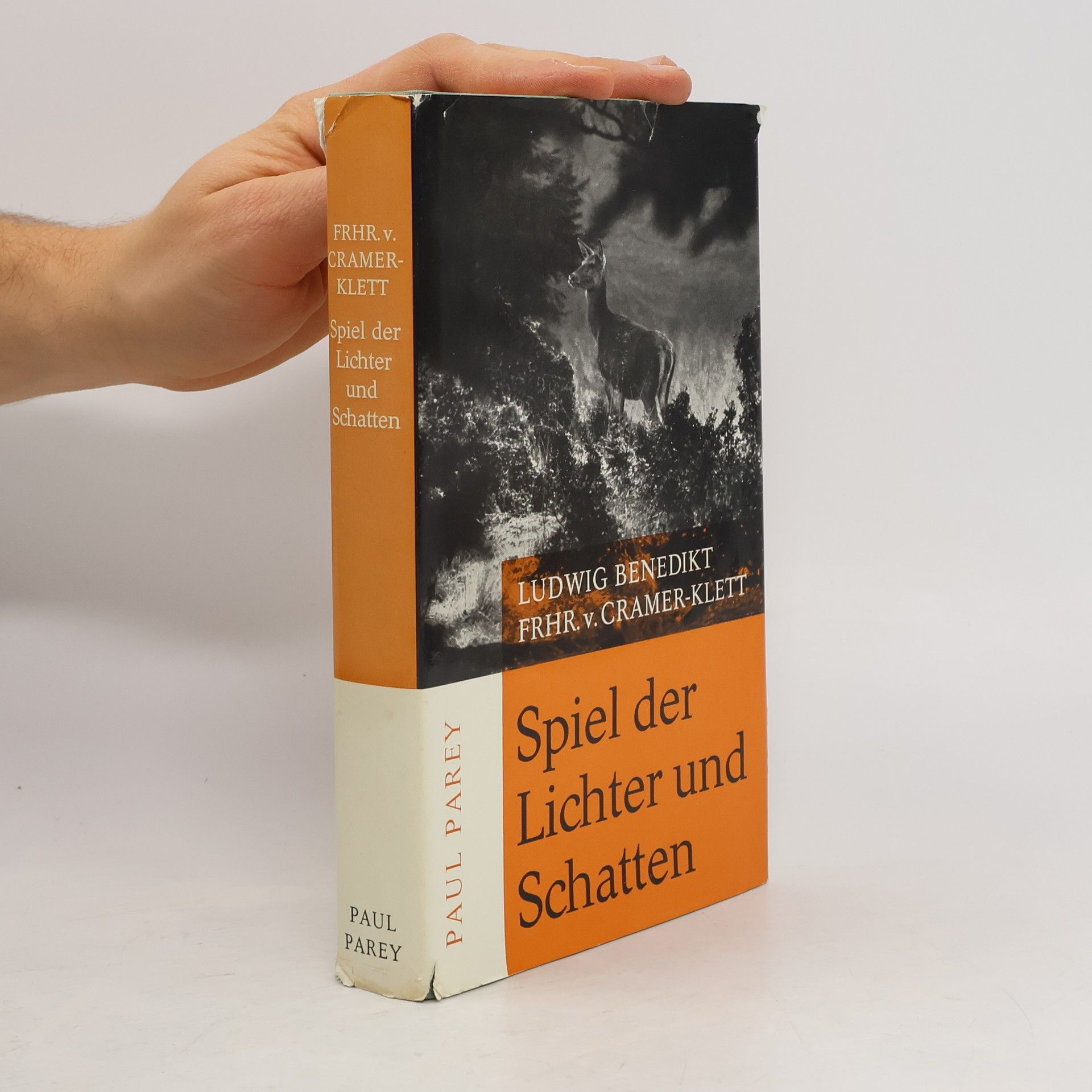 Spiel der Lichter und Schatten. Von eines Jägers Wünschen und Wegen
