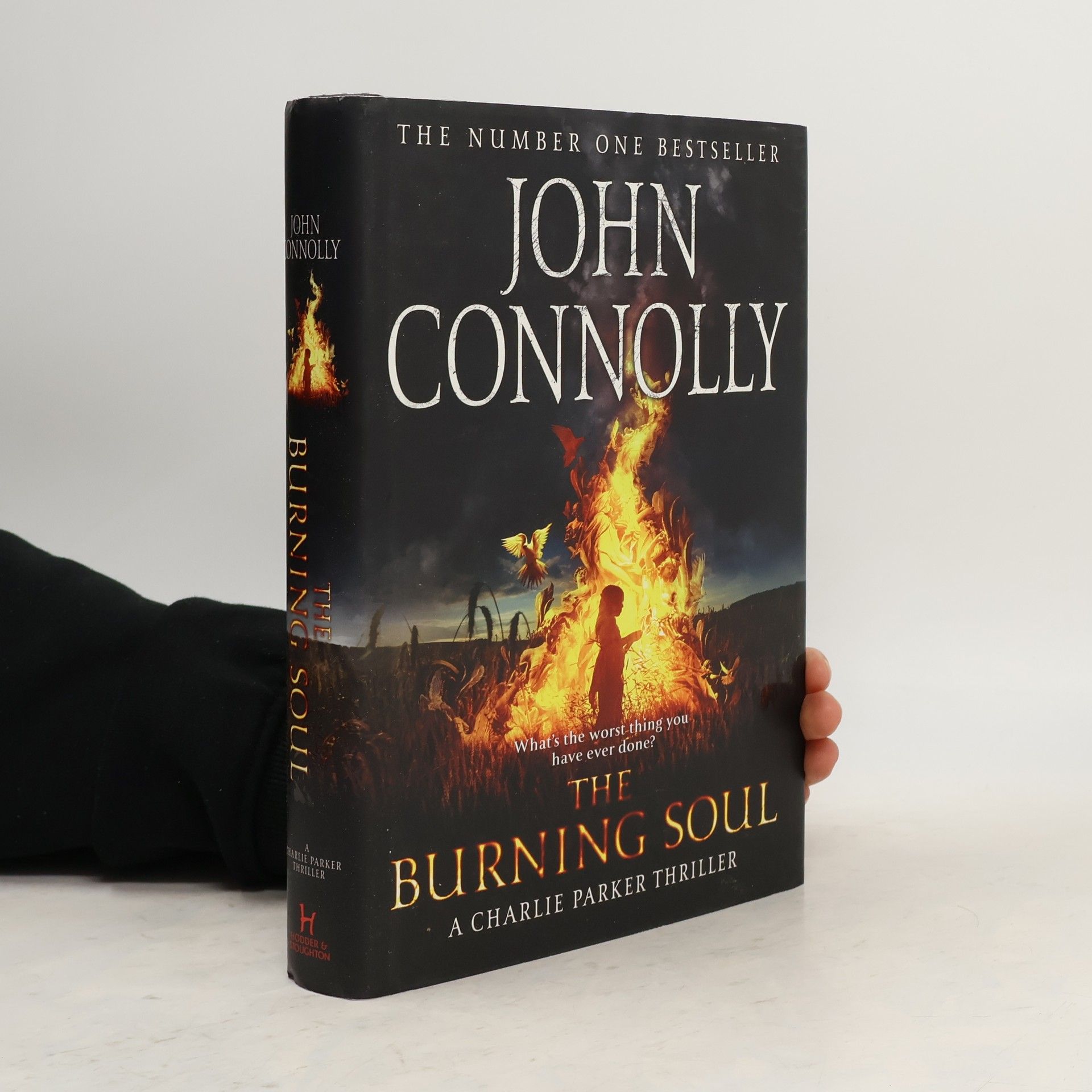 John Connolly Charlie Parker Thriller - 10: The Burning Soul