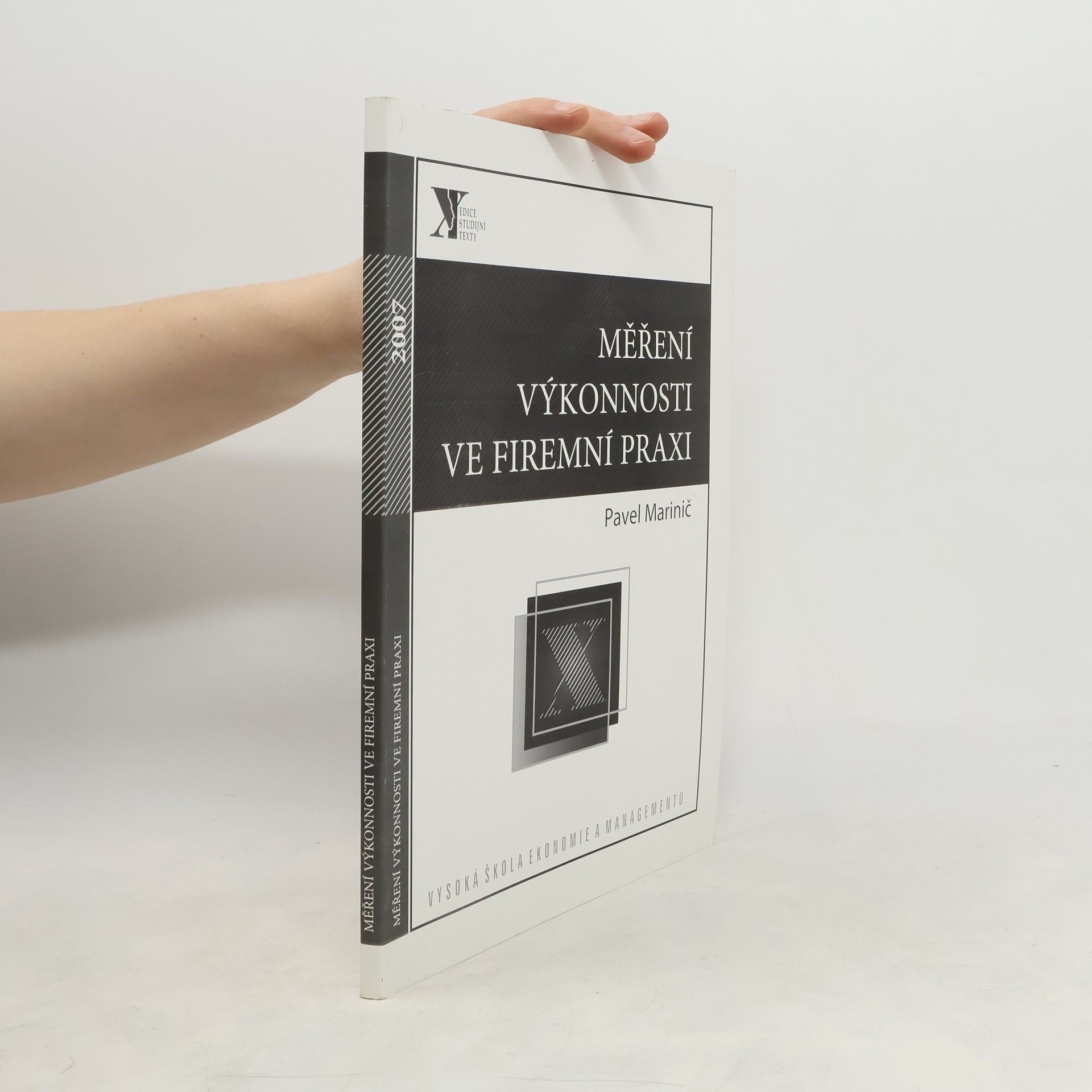 Měření výkonnosti ve firemní praxi