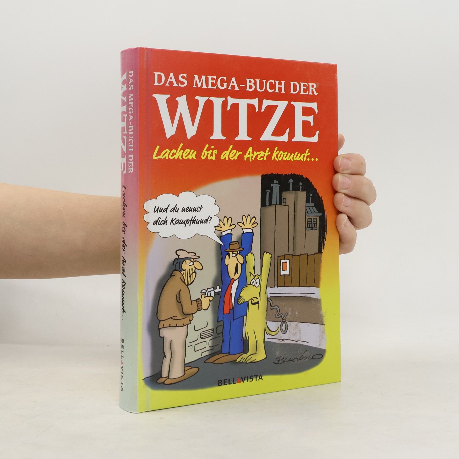 Autorenkollektiv Das Mega-Buch der Witze