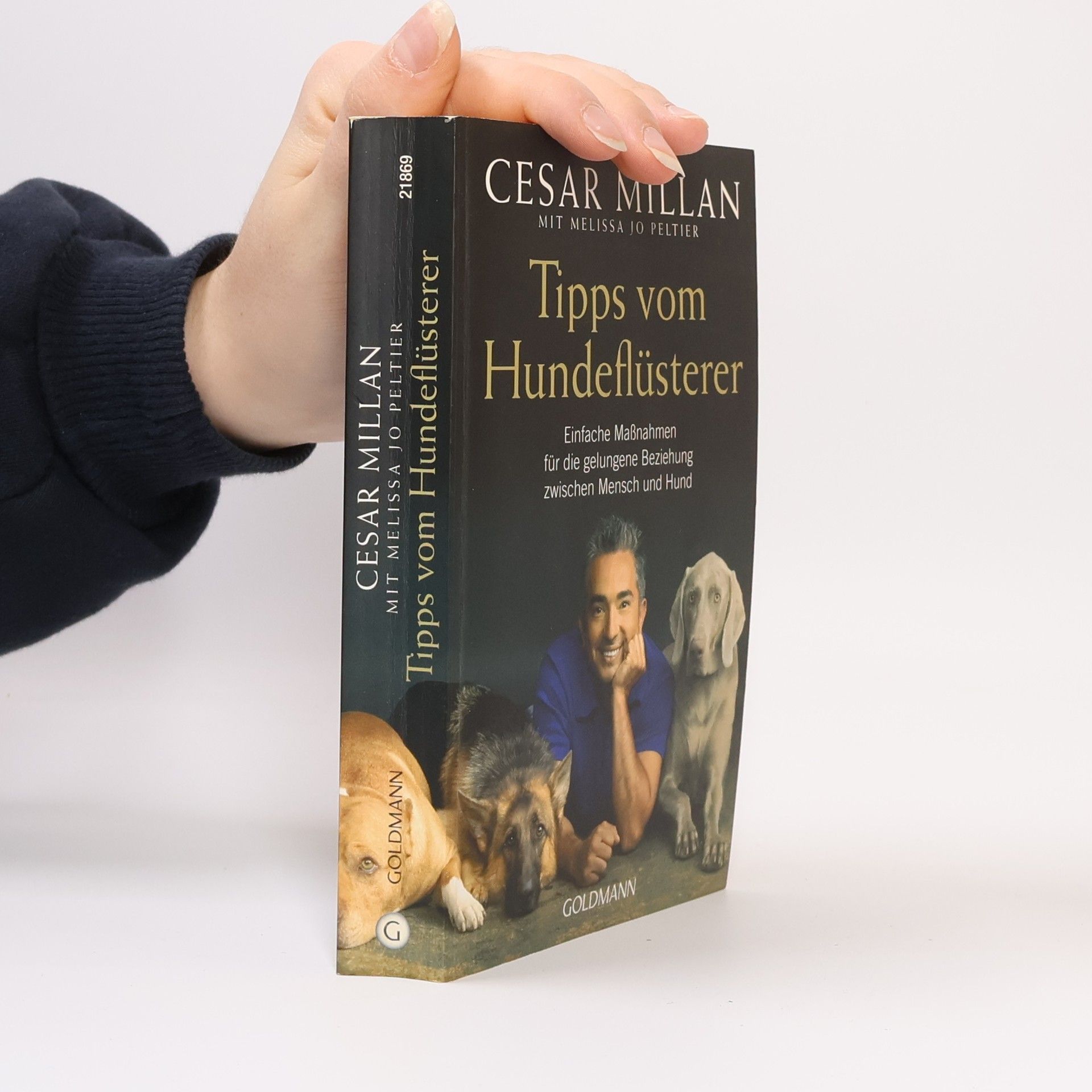 Cesar Millan Tipps vom Hundeflüsterer