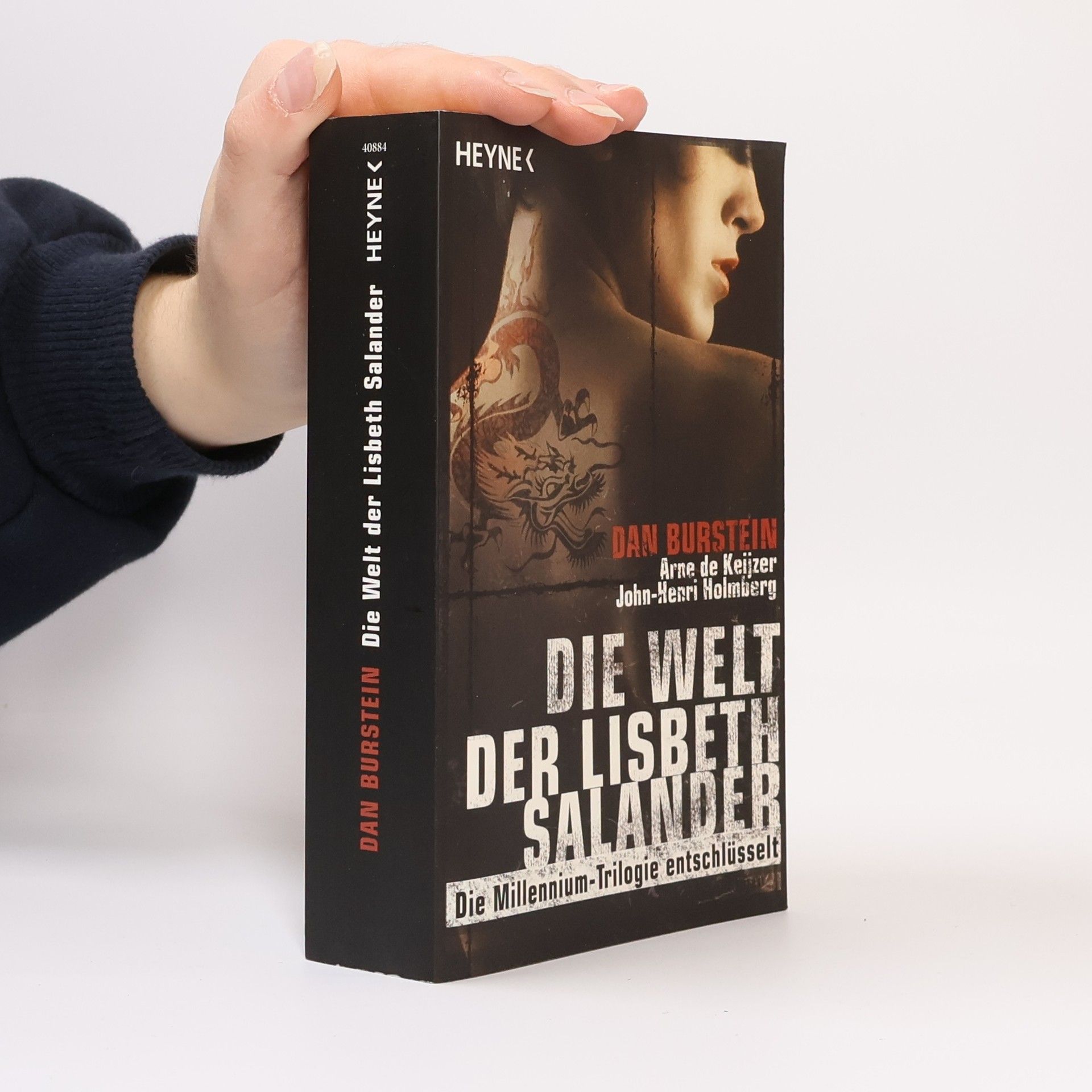 Dan Burstein Die Welt der Lisbeth Salander