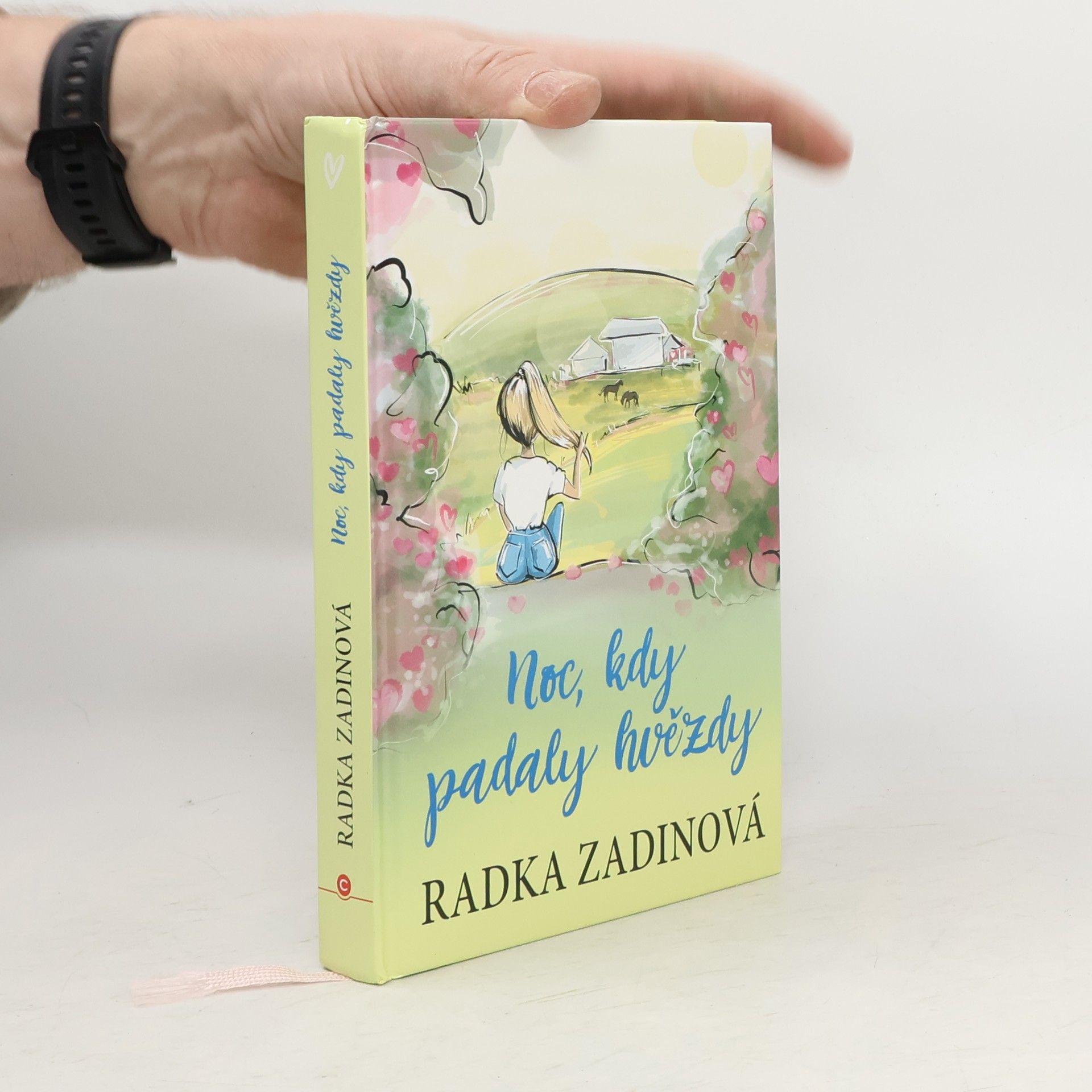 Radka Zadinová Noc, kdy padaly hvězdy