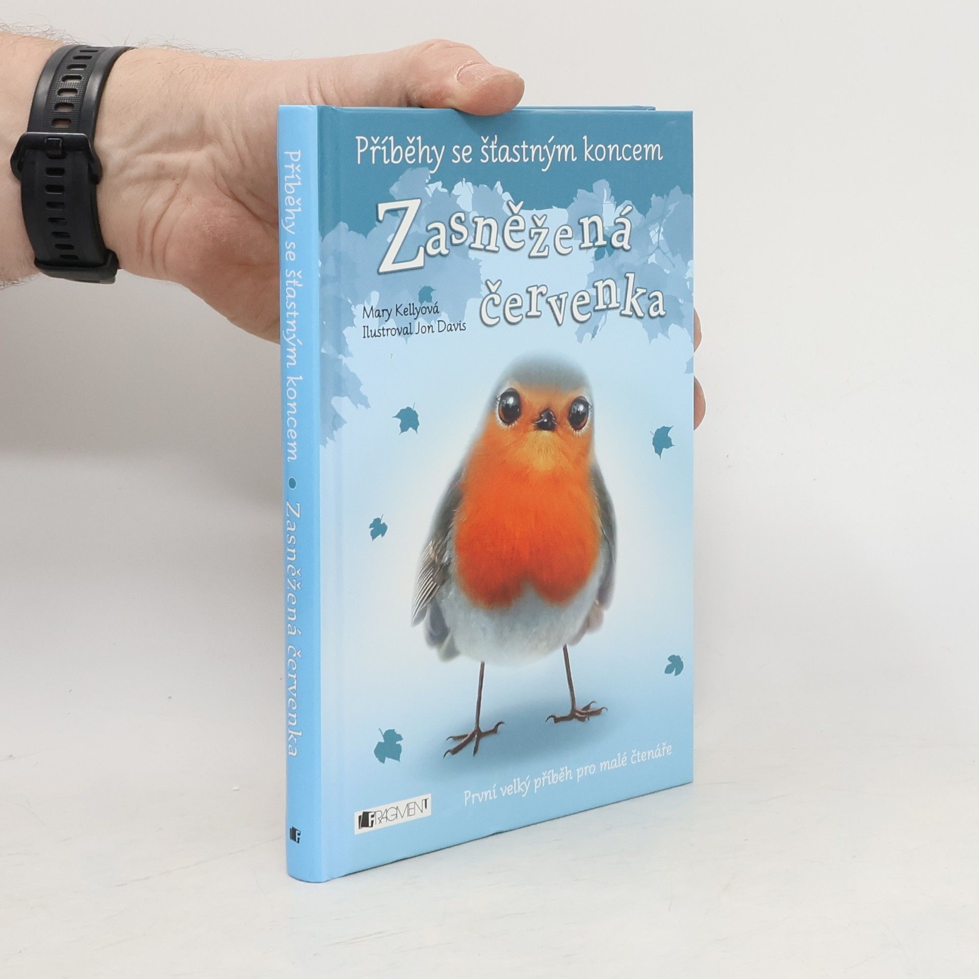 Zasněžená červenka