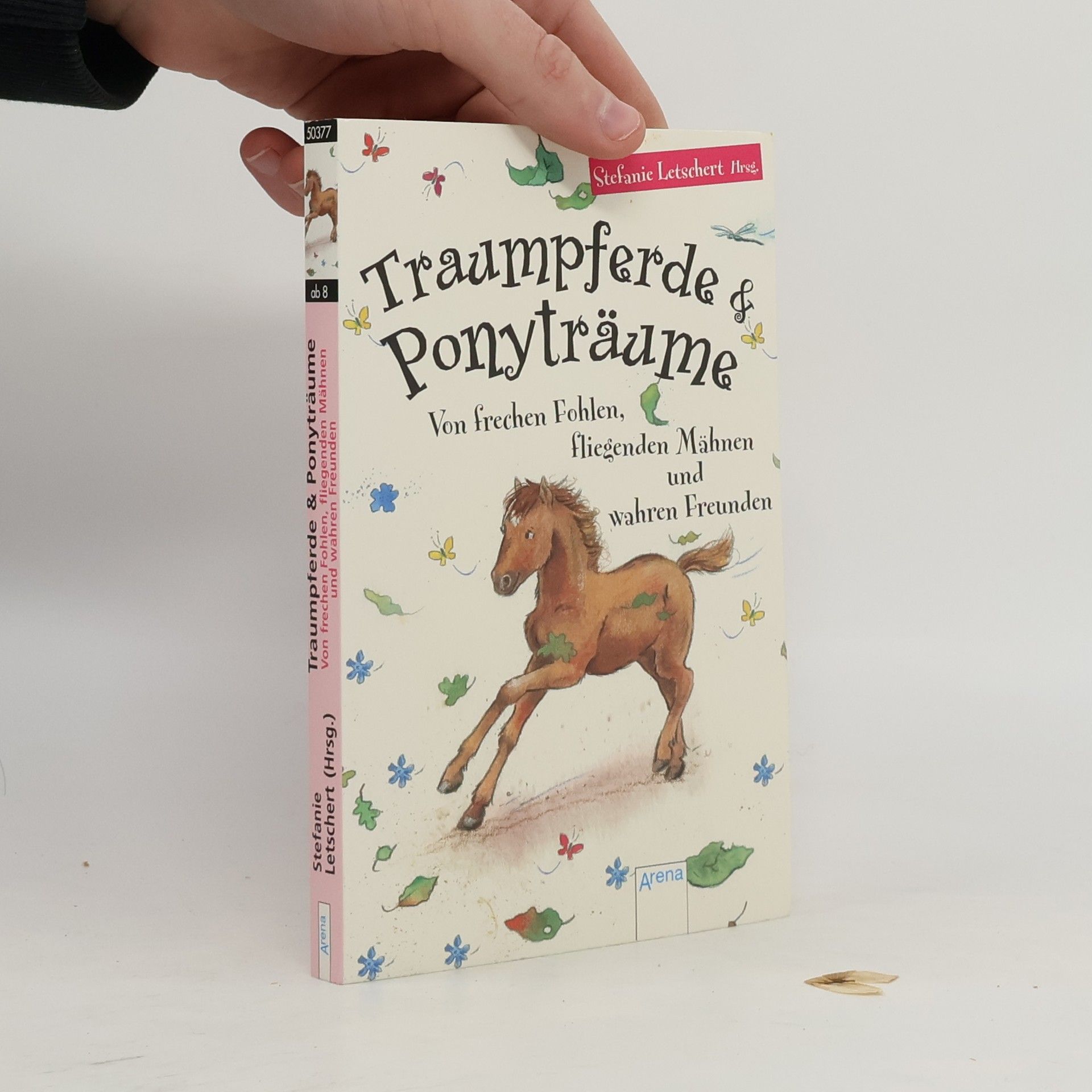 Stefanie Letschert Traumpferde & Ponyträume