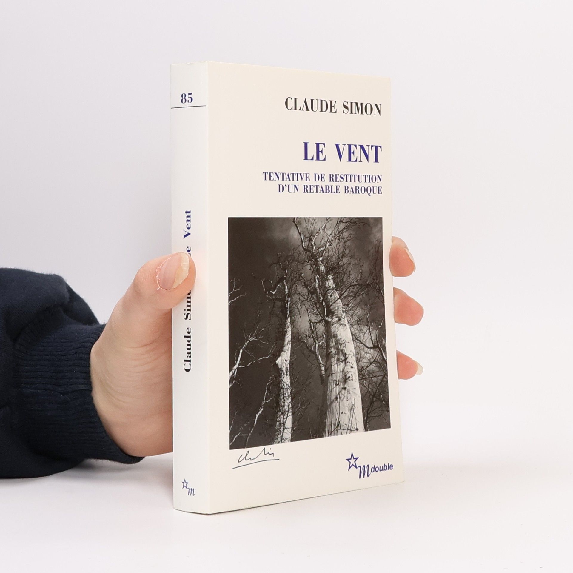 Claude Simon Le vent