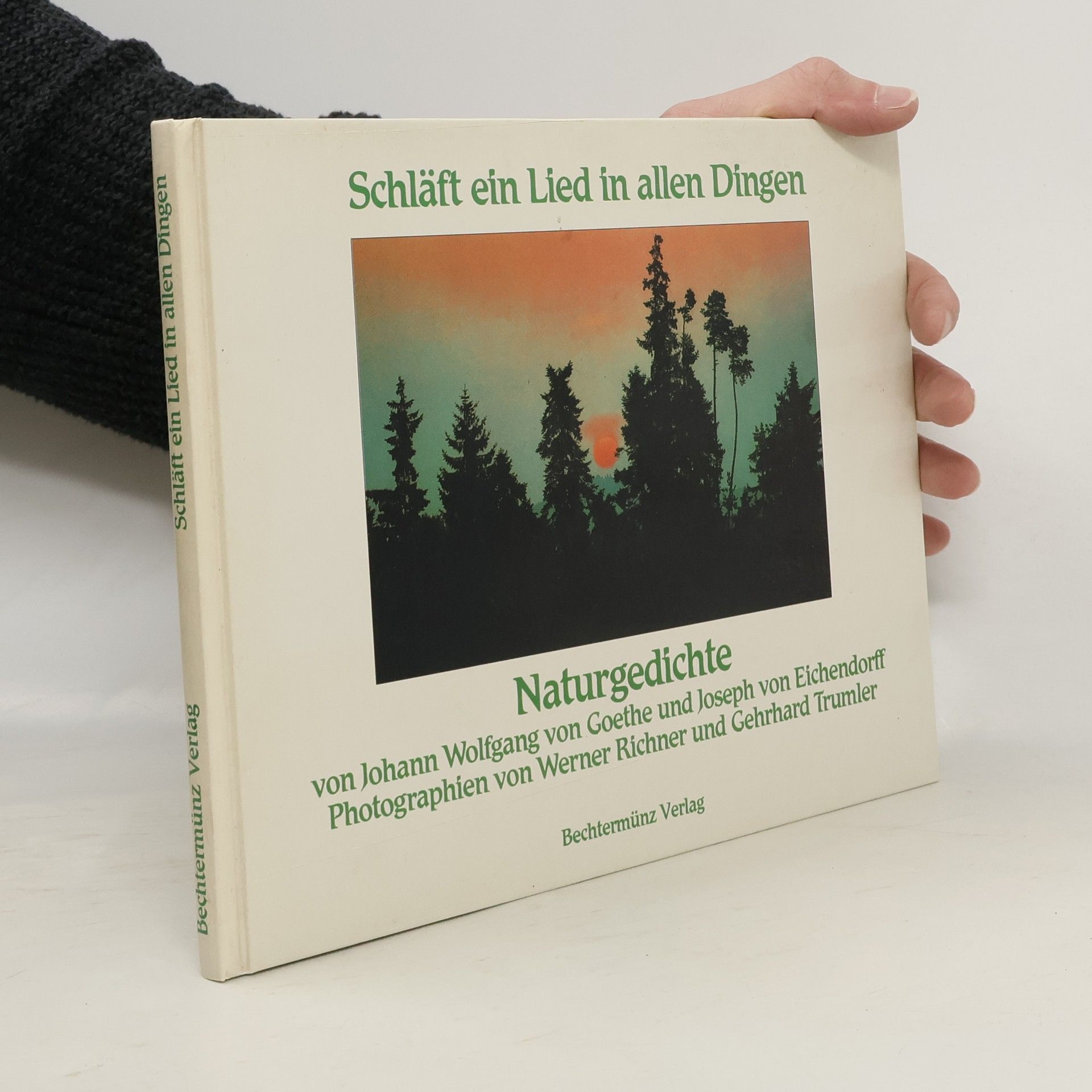 Schläft ein Lied in allen Dingen