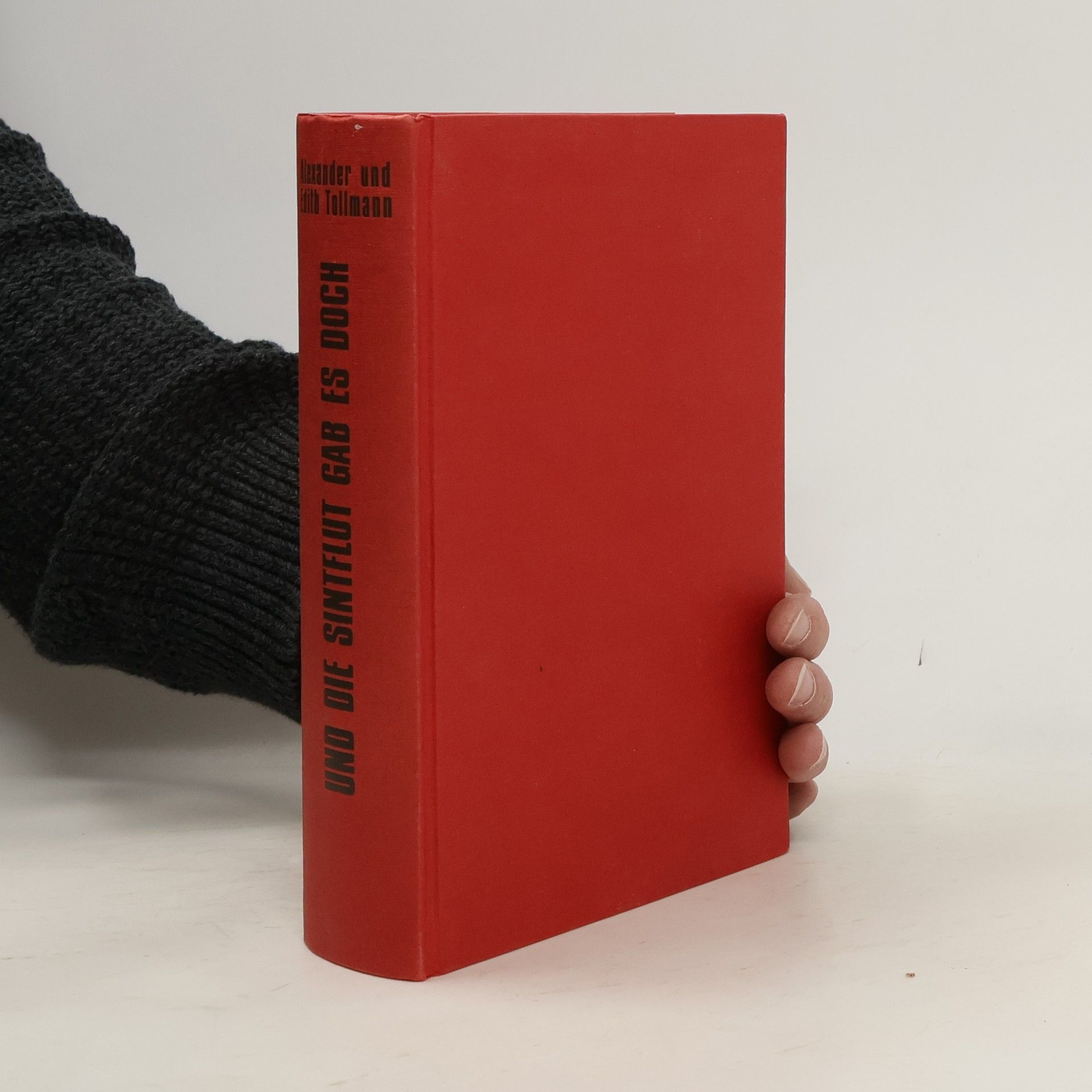 Und die Sintflut gab es doch