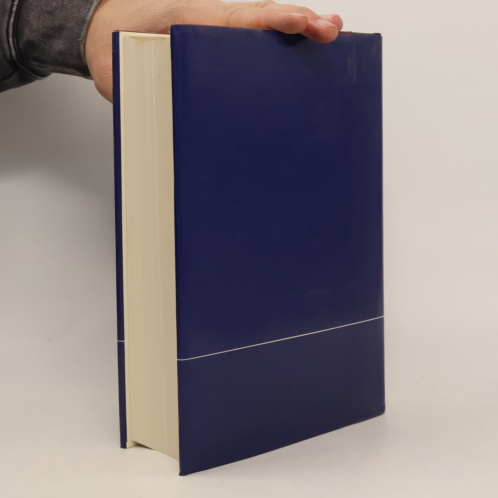 Autorenkollektiv Brockhaus Enzyklopädie 20
