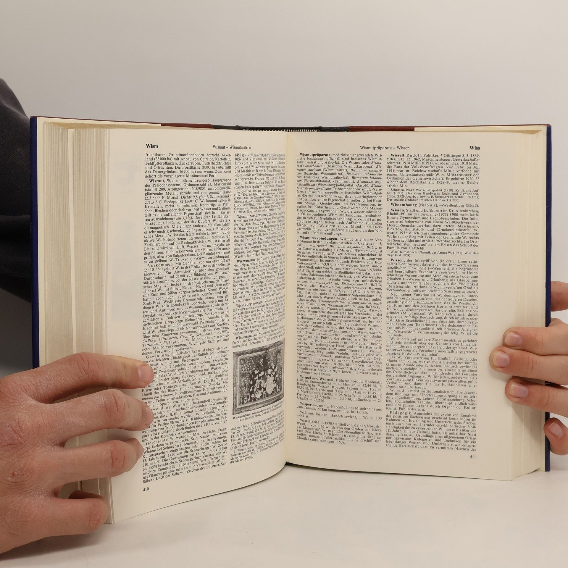 Autorenkollektiv Brockhaus Enzyklopädie 20