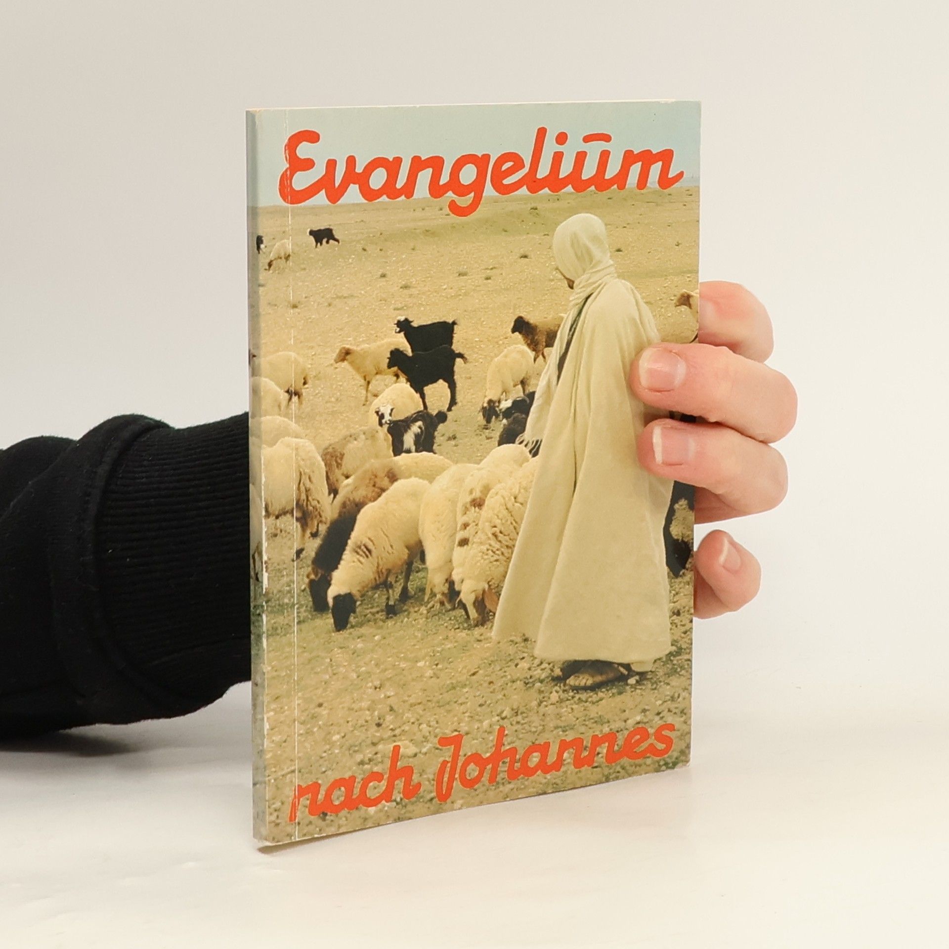 Autorenkollektiv Evangelium nach Johannes