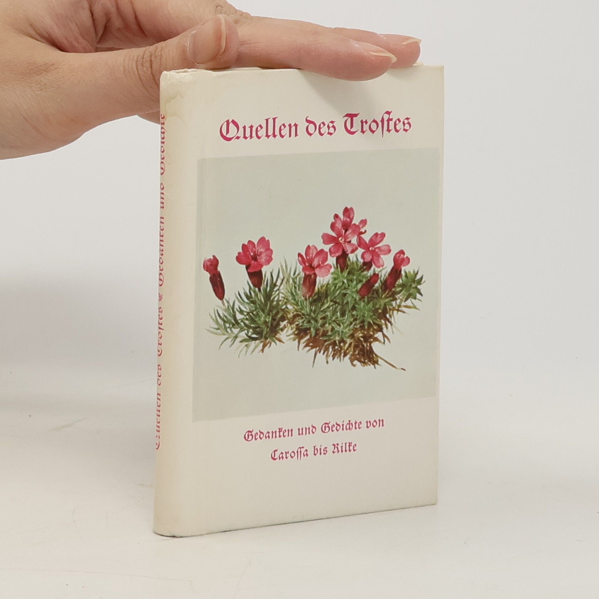 E. Hettinger Quellen des Trostes