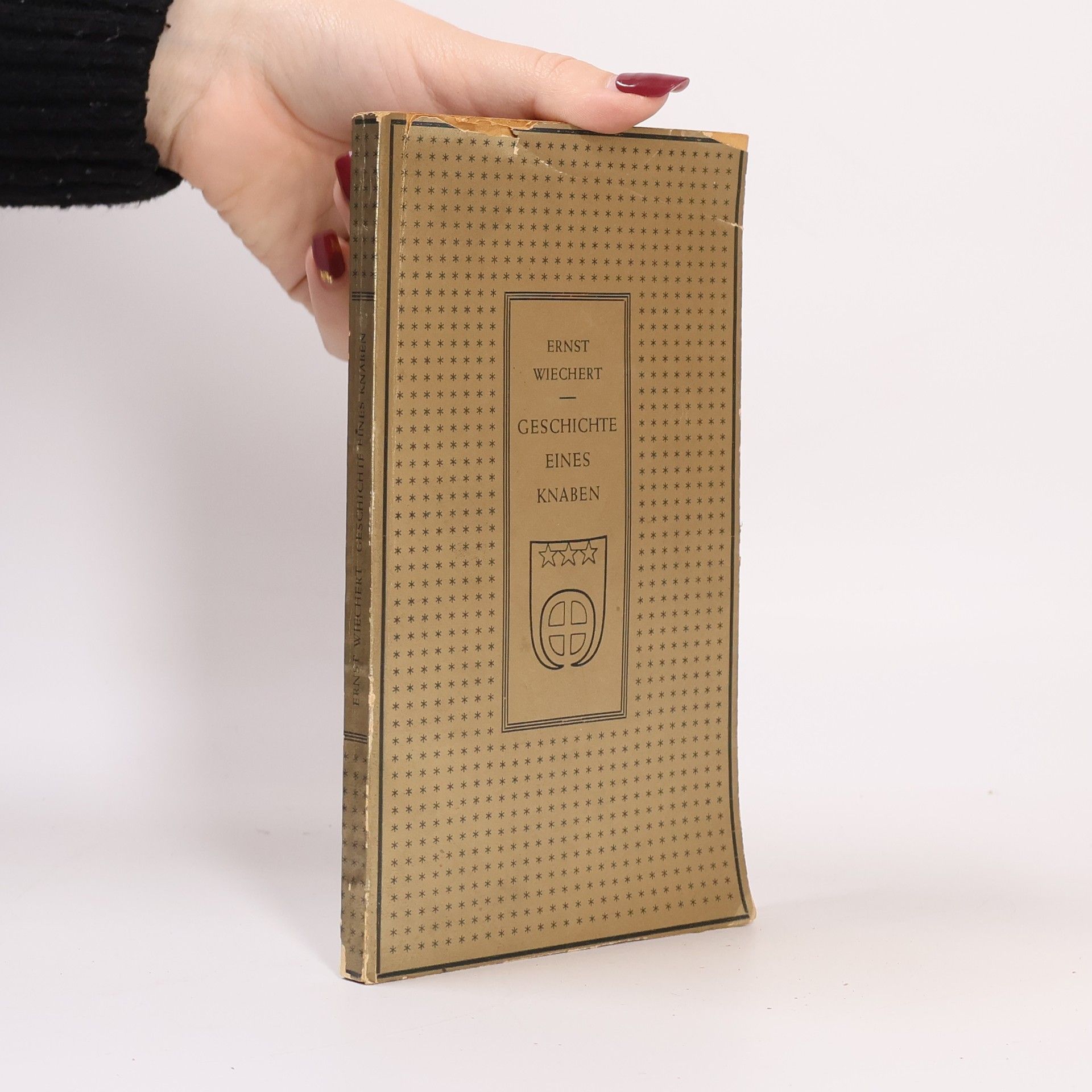 Geschichte eines Knaben