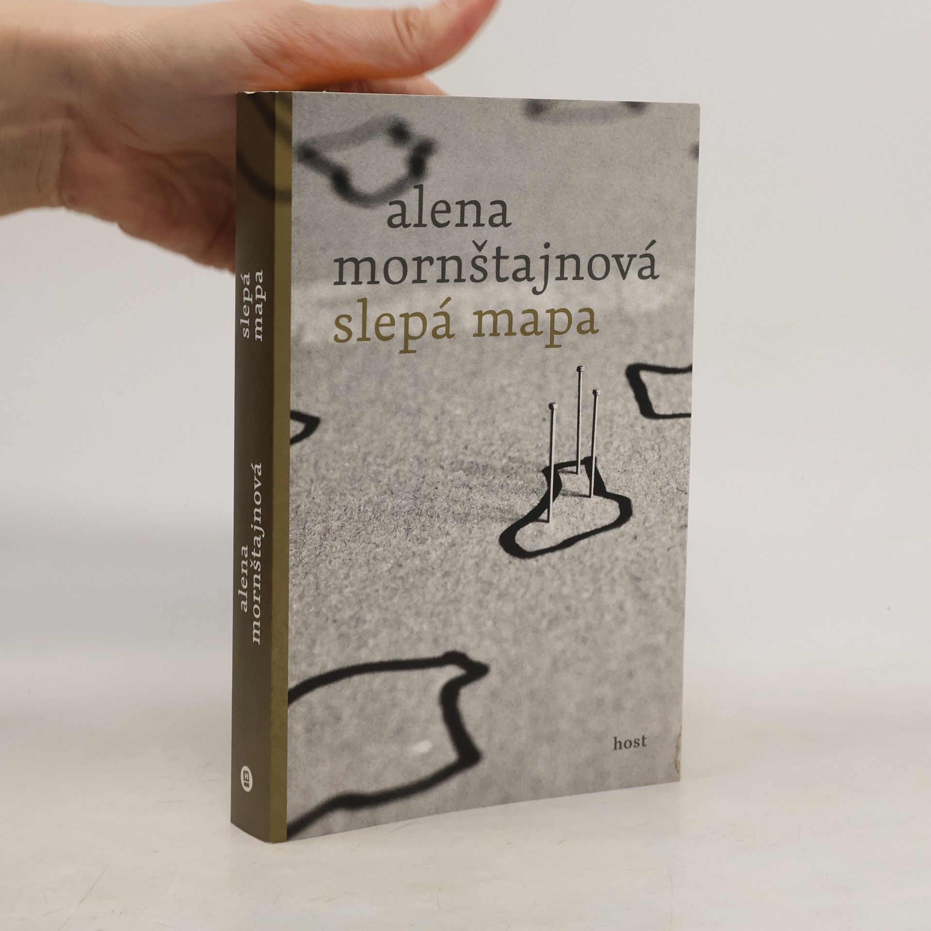 Alena Mornštajnová Slepá mapa