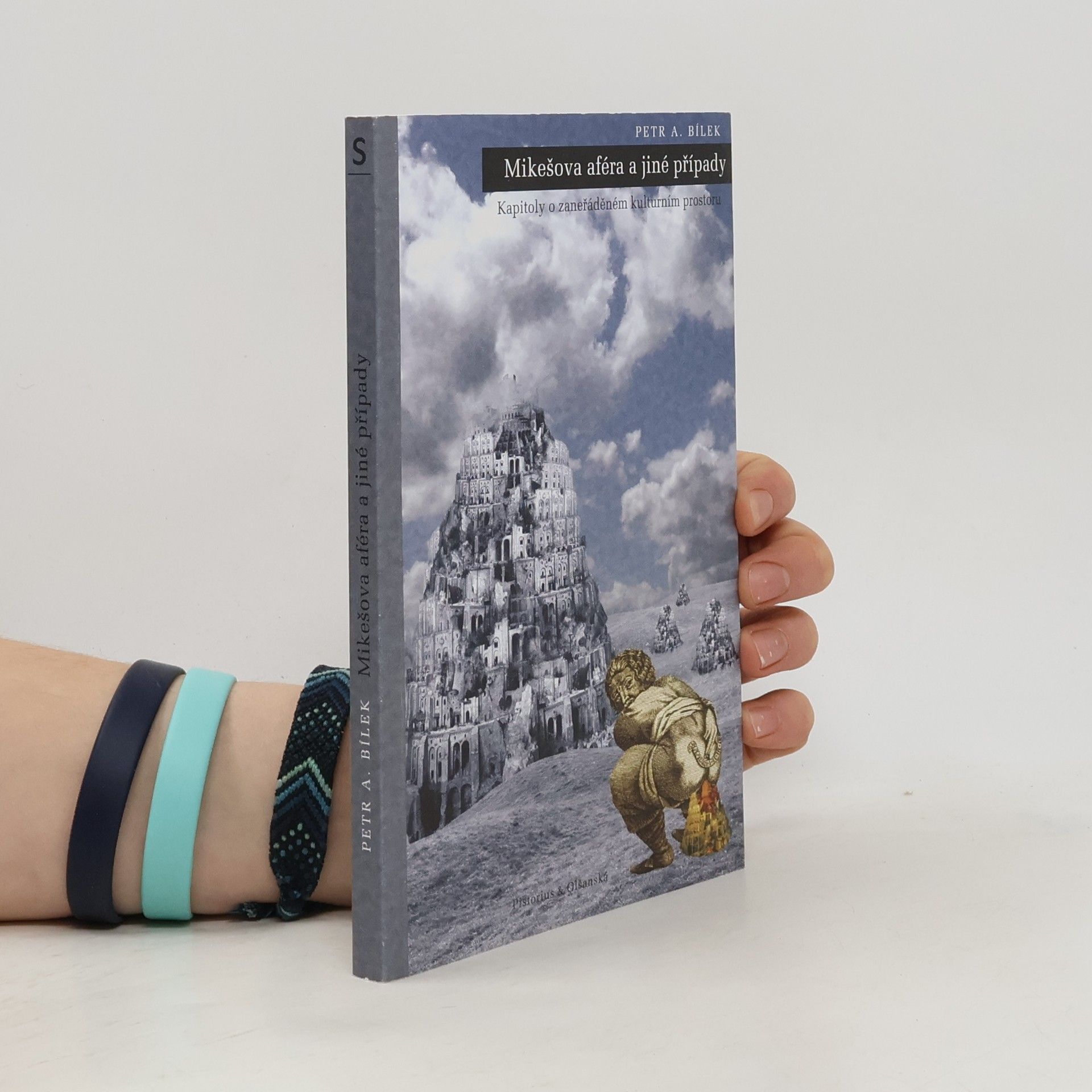 Mikešova aféra a jiné případy. Kapitoly o zaneřáděném kulturním prostoru