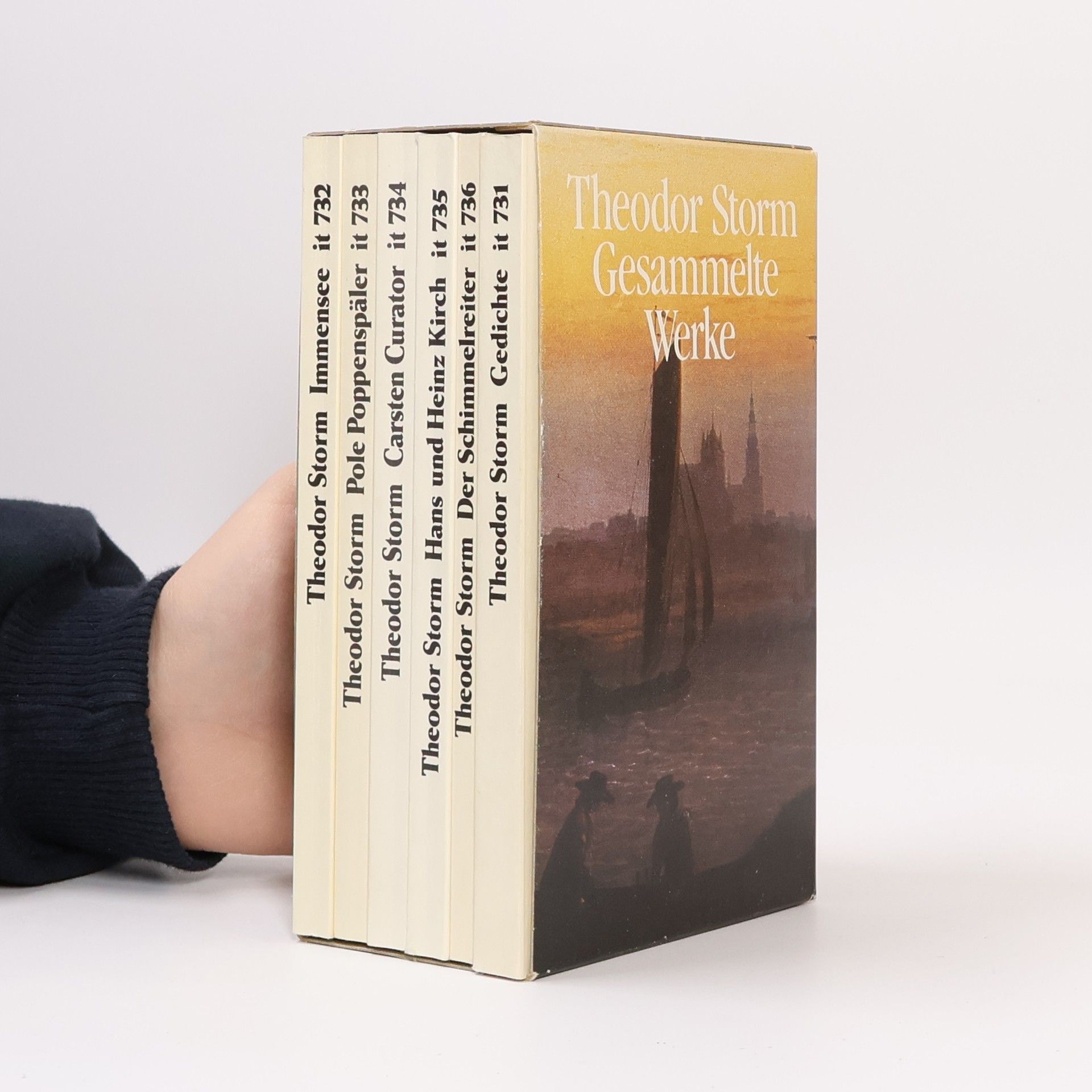 Theodor Storm Gedichte