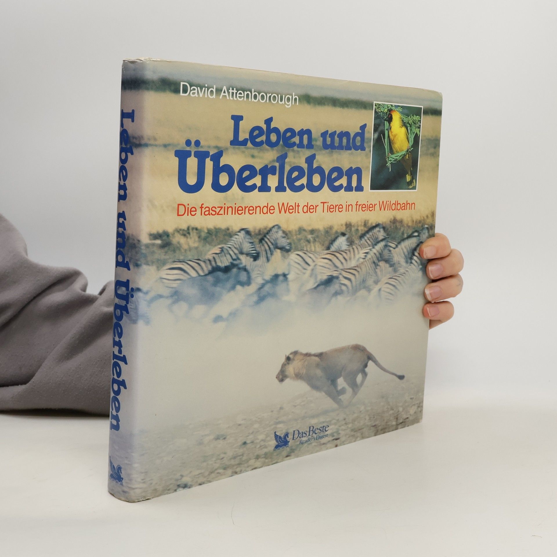 Leben und Überleben