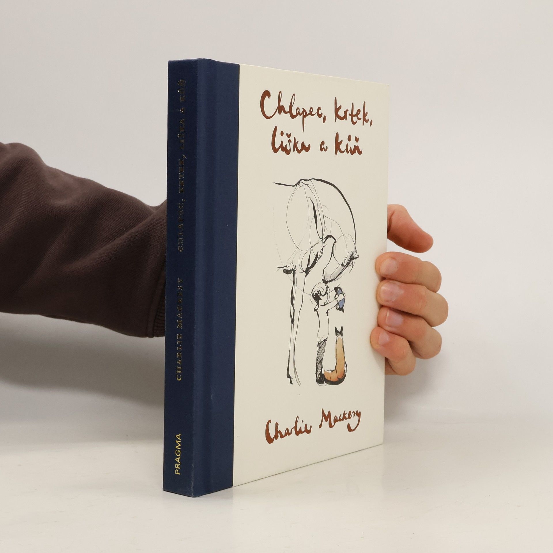 Charlie Mackesy Chlapec, krtek, liška a kůň