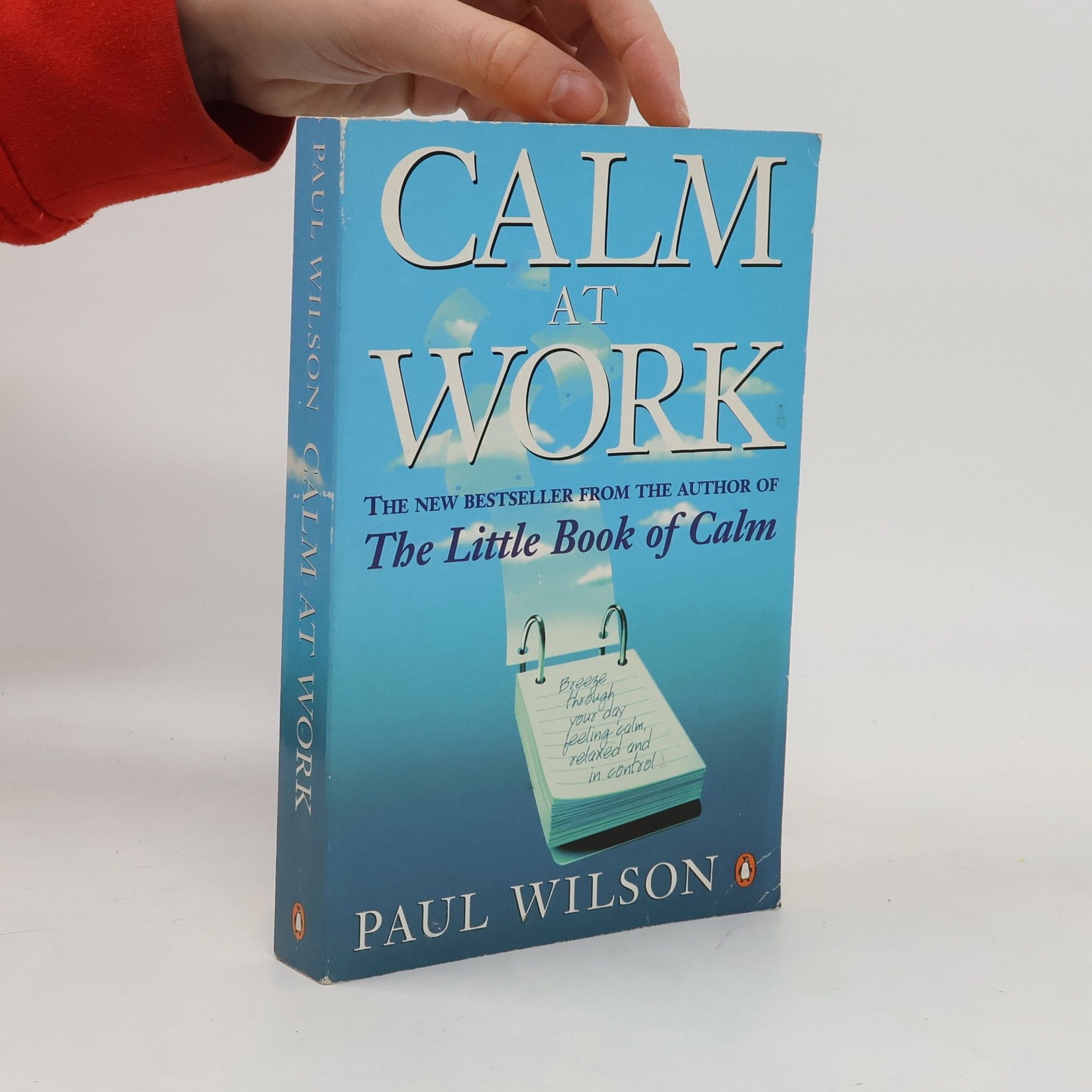 Paul Wilson Calm at Work