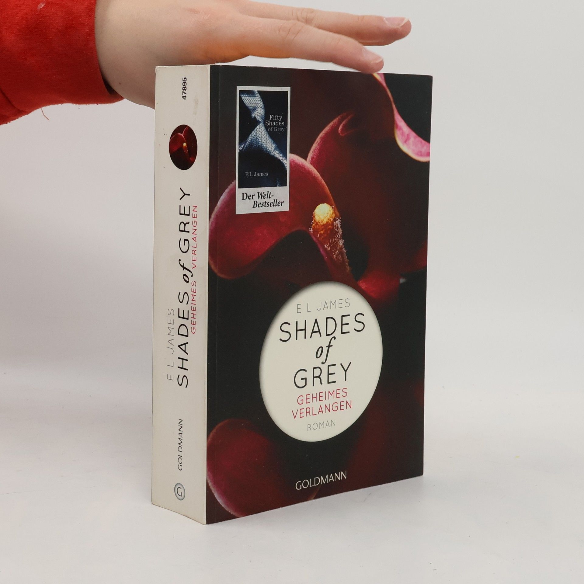 Shades of Grey. Geheimes Verlangen