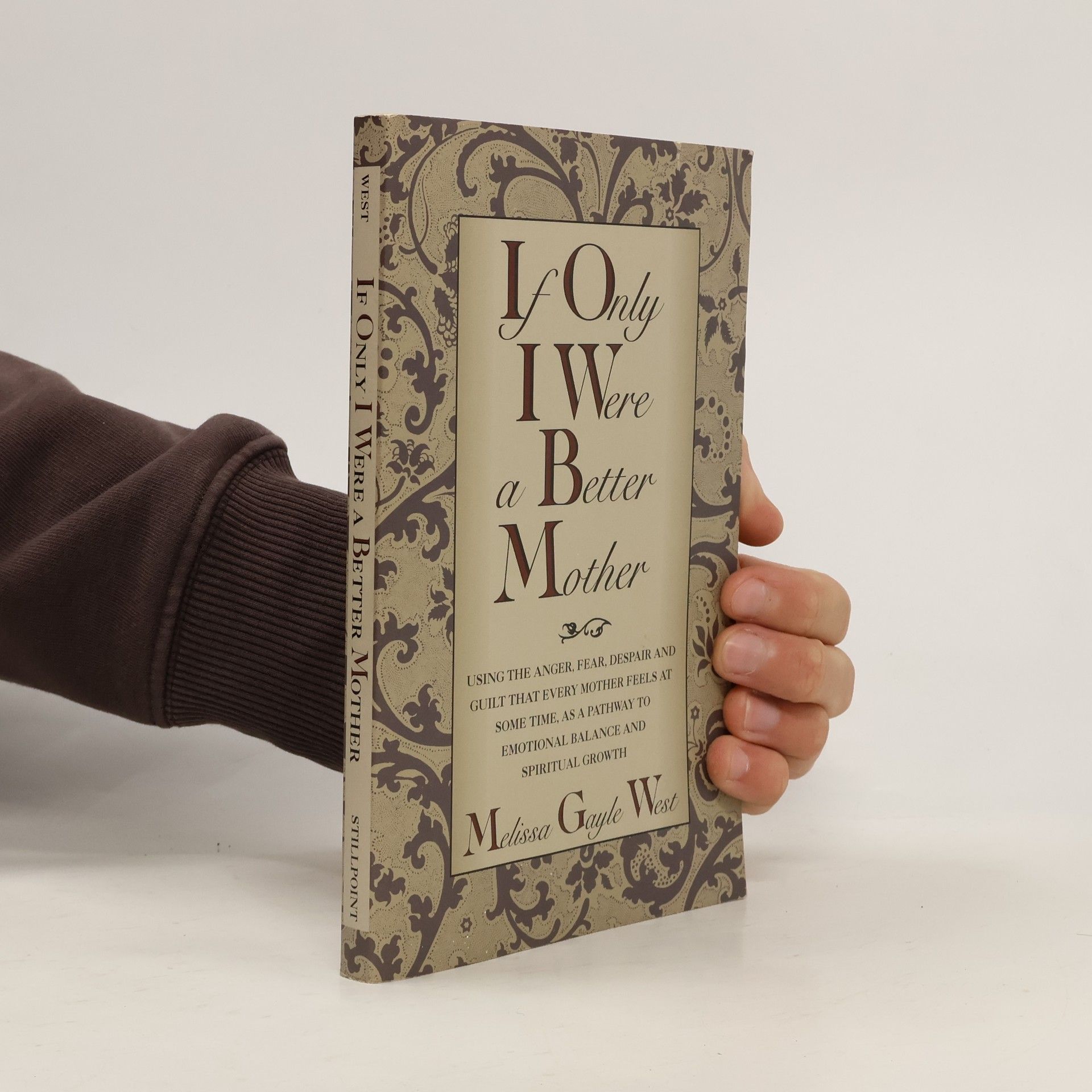 If Only I Were a Better Mother