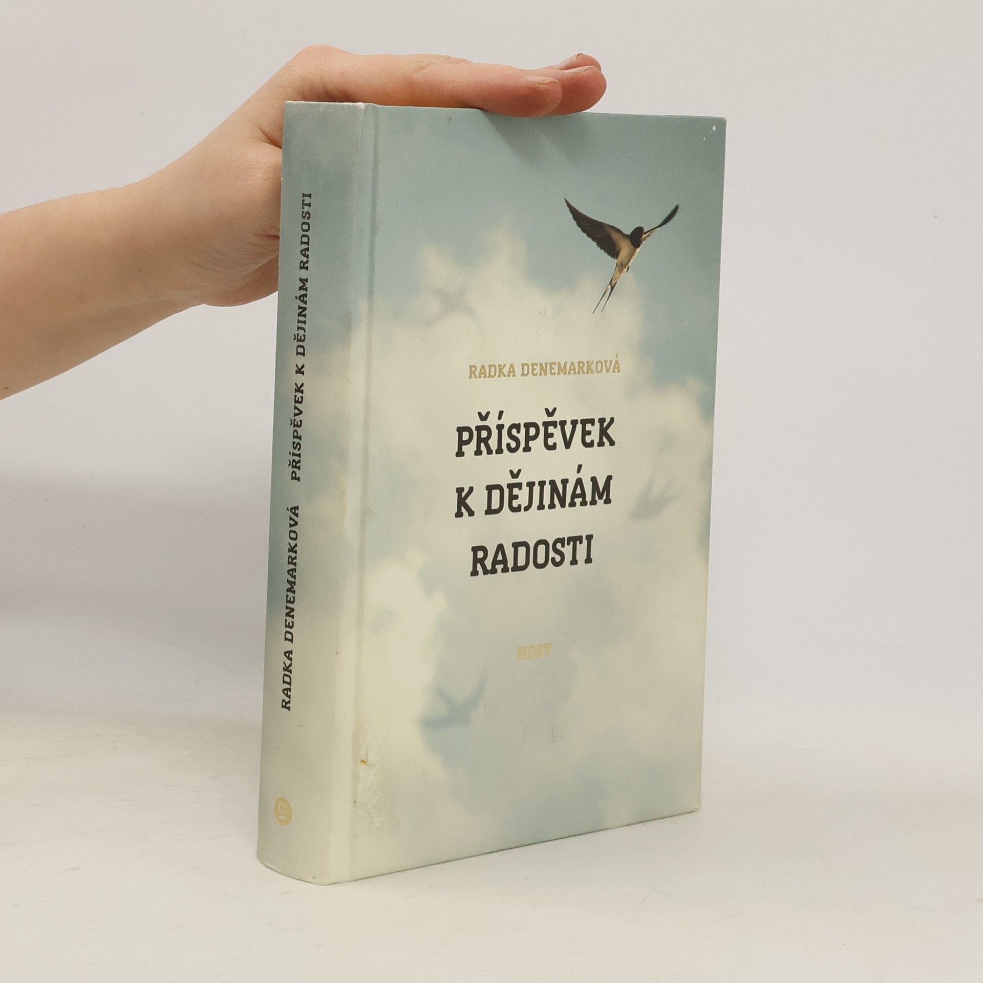 Radka Denemarková Příspěvek k dějinám radosti