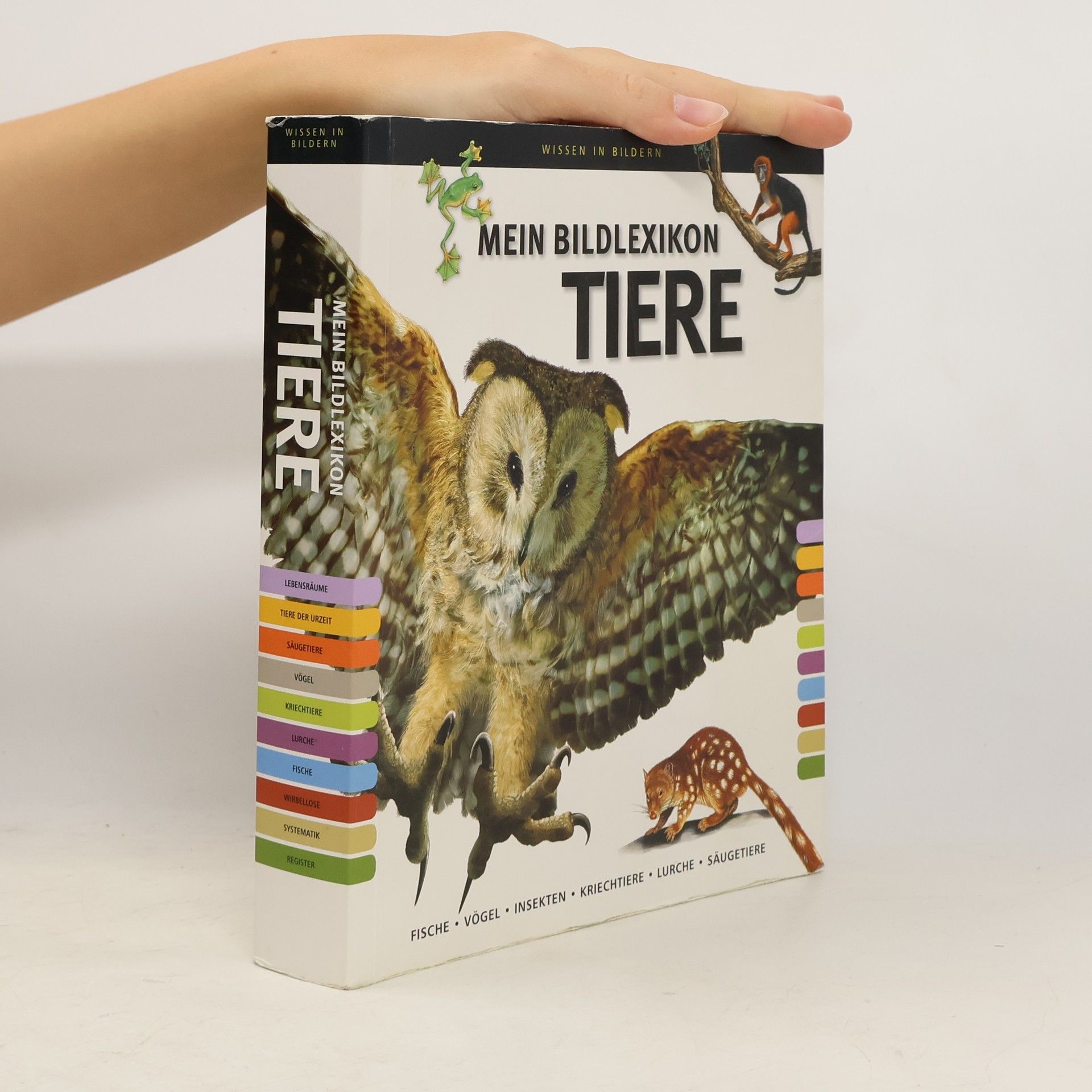 Autorenkollektiv Mein Bildlexikon Tiere