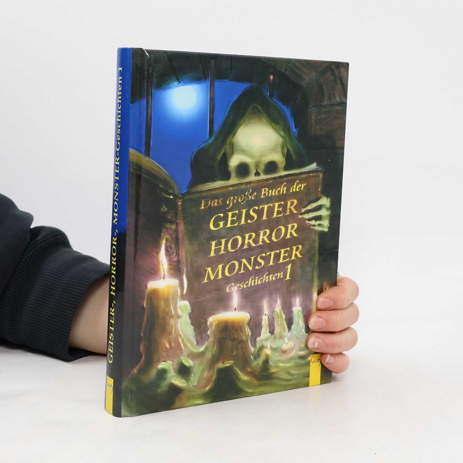 Das grosse Buch der Geister-, Horror-, Monster-Geschichten