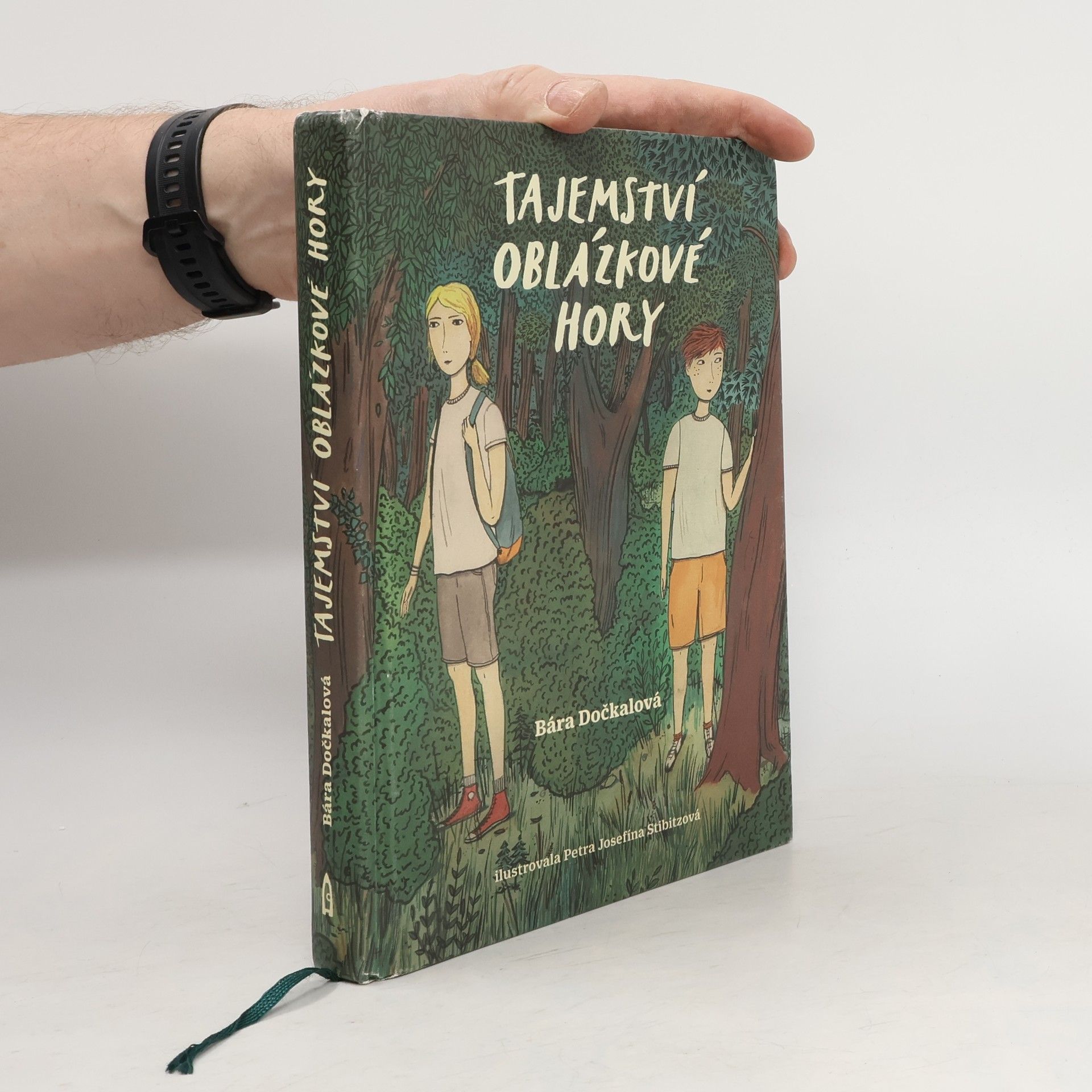 Tajemství Oblázkové hory