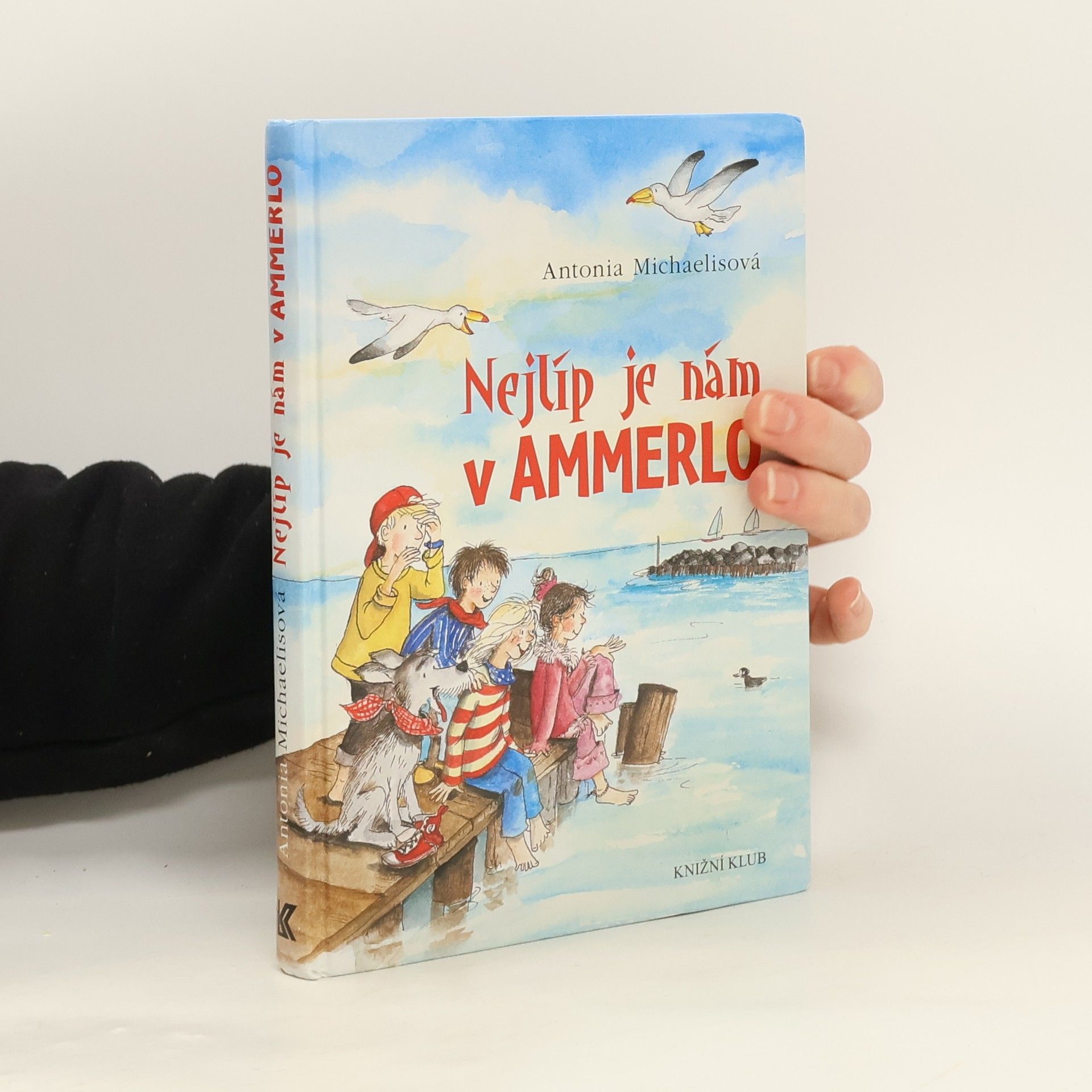 Antonia Michaelis Nejlíp je nám v Ammerlo