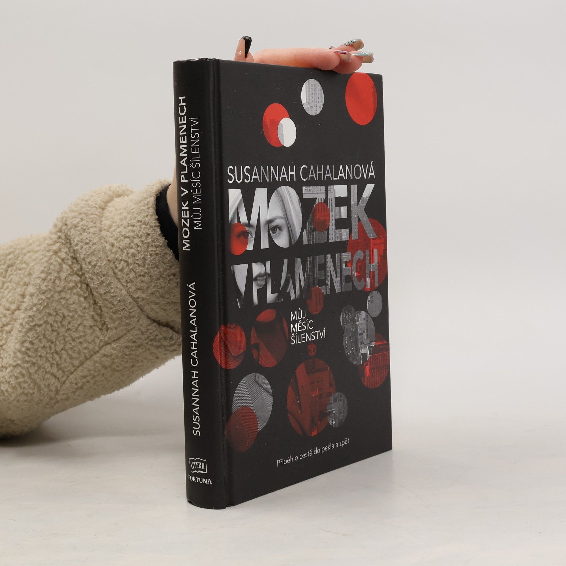 Susannah Cahalan Mozek v plamenech : můj měsíc šílenství