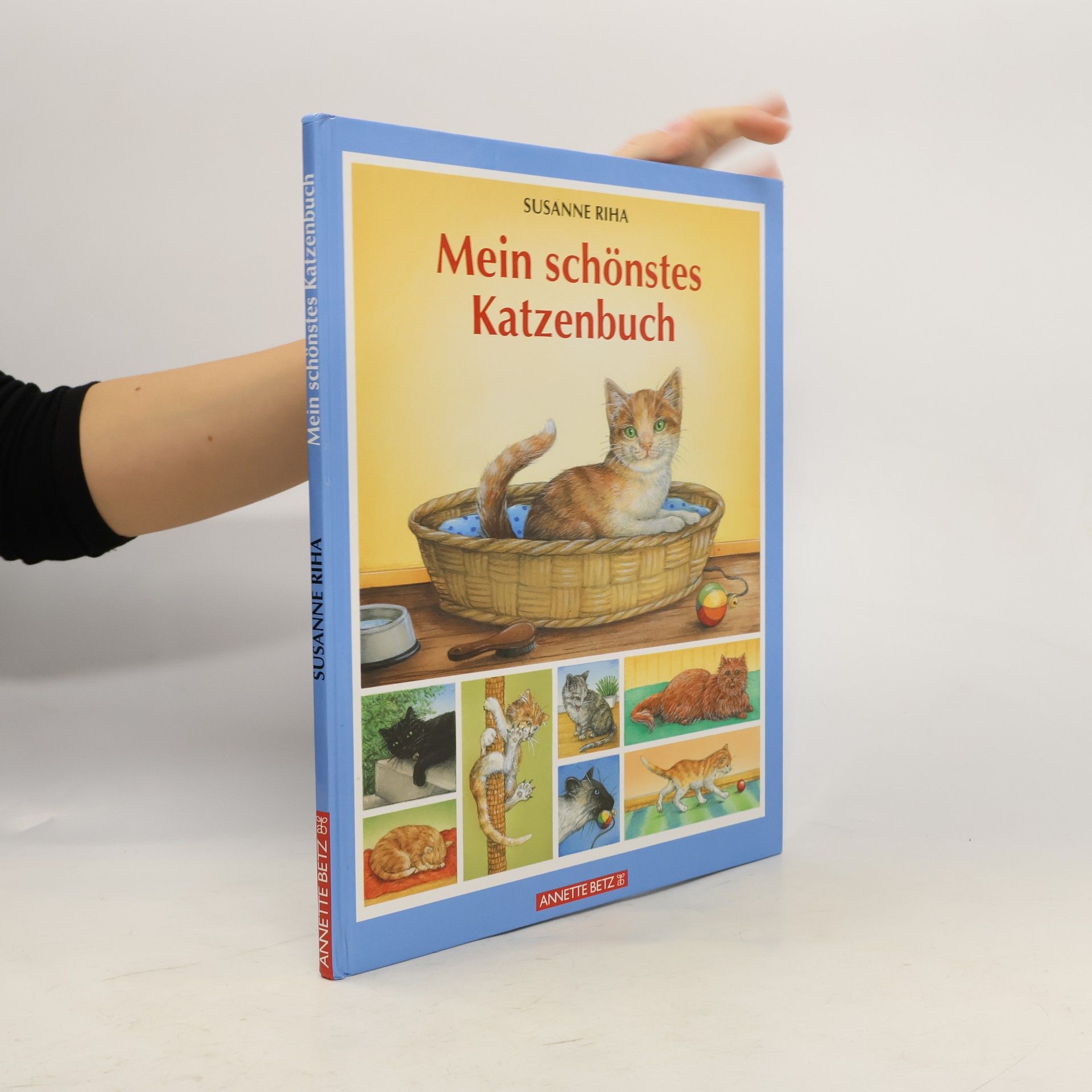 Susanne Riha Mein schönstes Katzenbuch