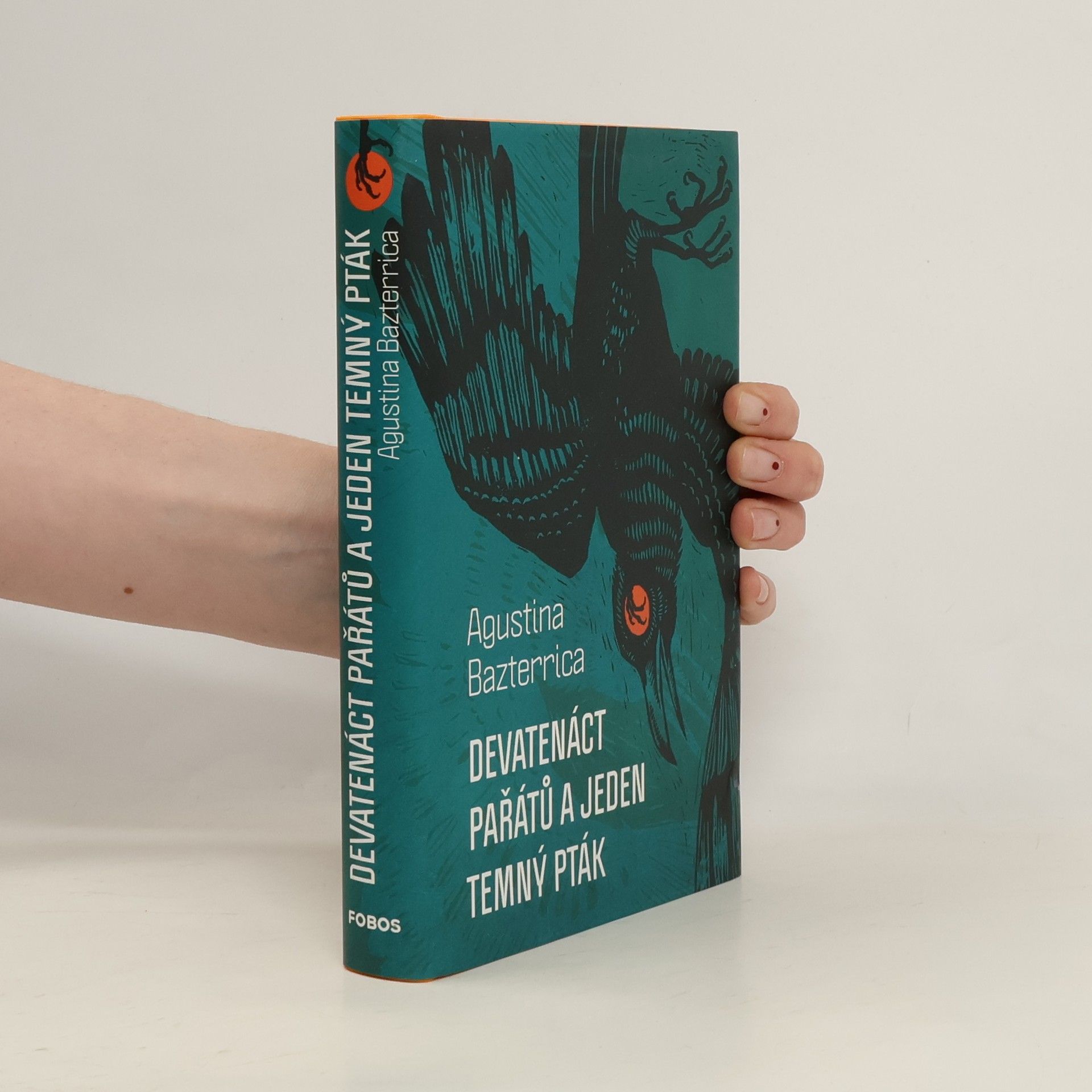 Devatenáct pařátů a jeden temný pták