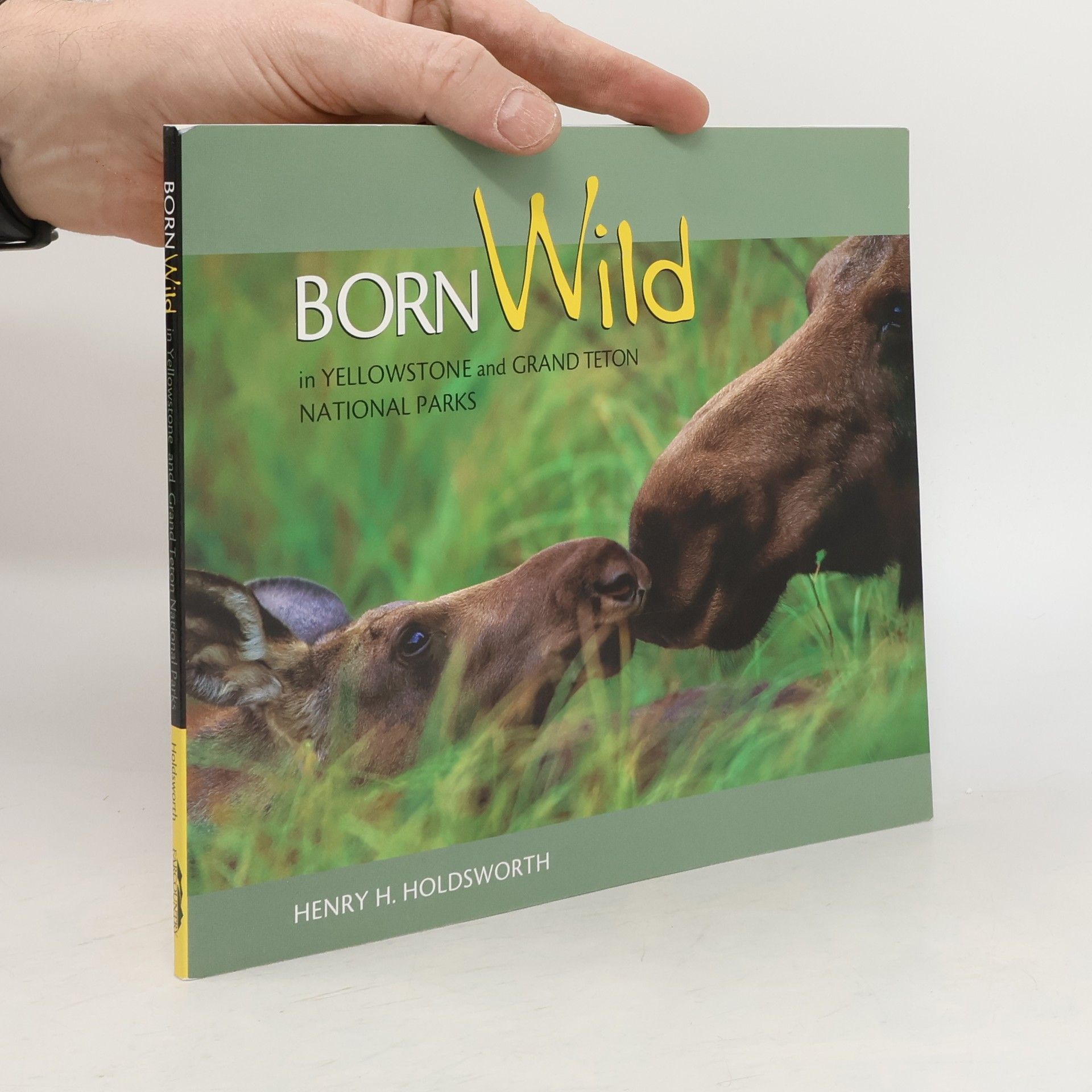 Henry Holdsworth Born Wild in Yellowstone and Grand Teton National Parks