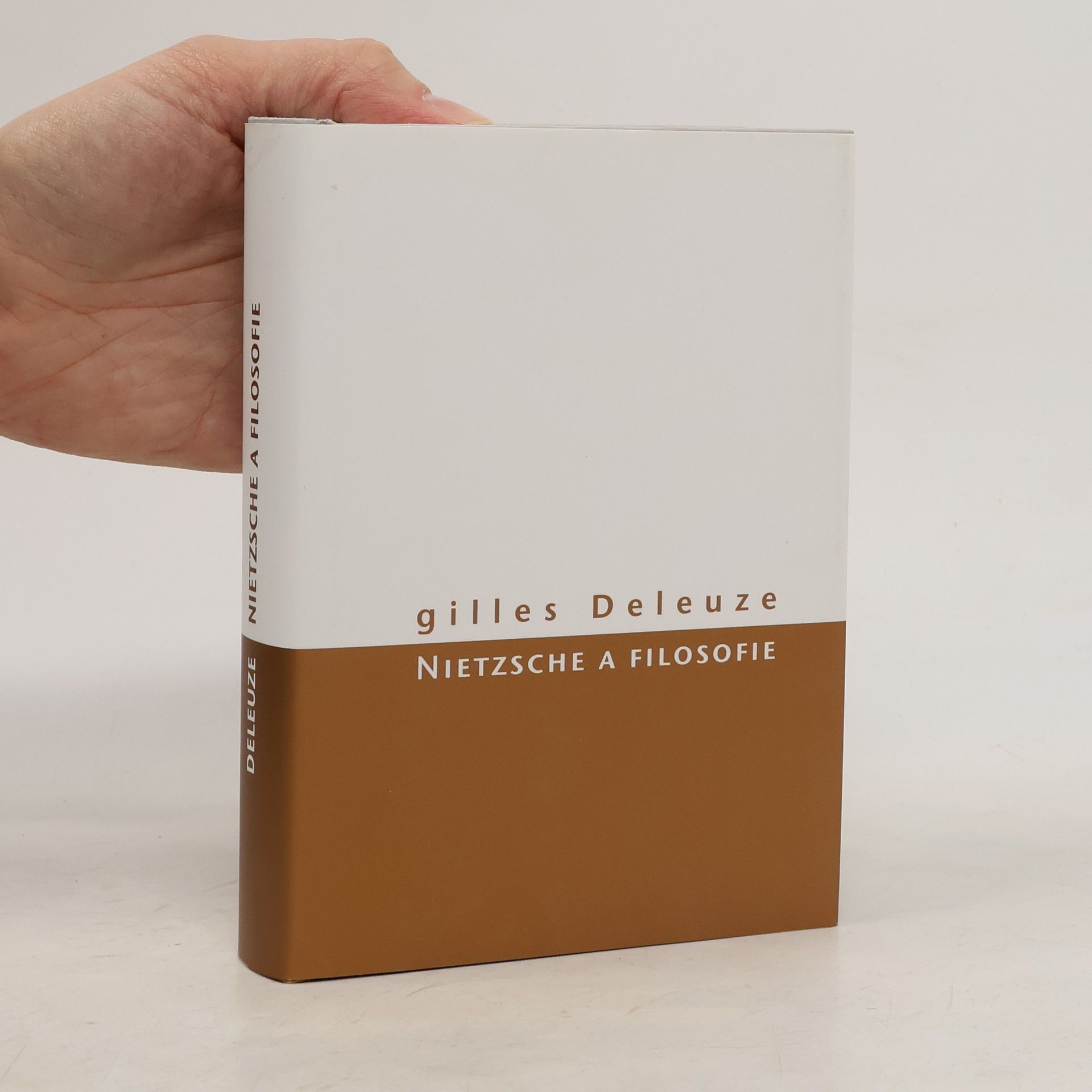 Nietzsche a filosofie