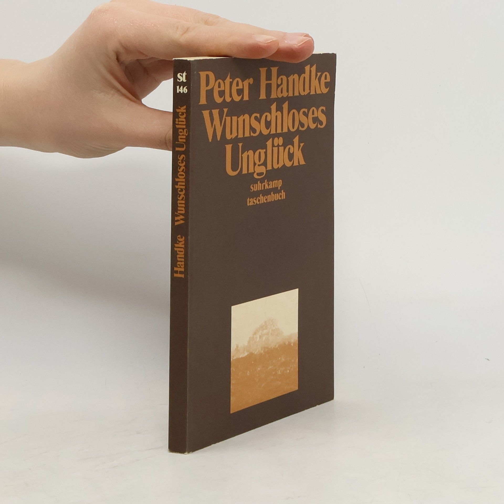 Peter Handke Wunschloses Unglück: Erzählung