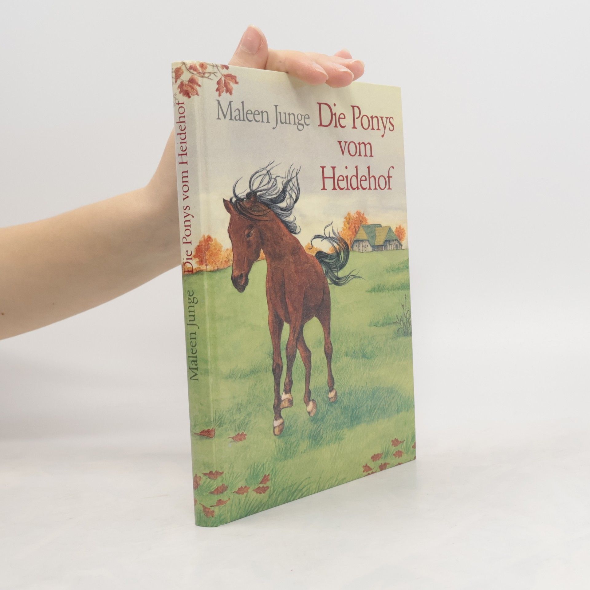 Die Ponys vom Heidehof