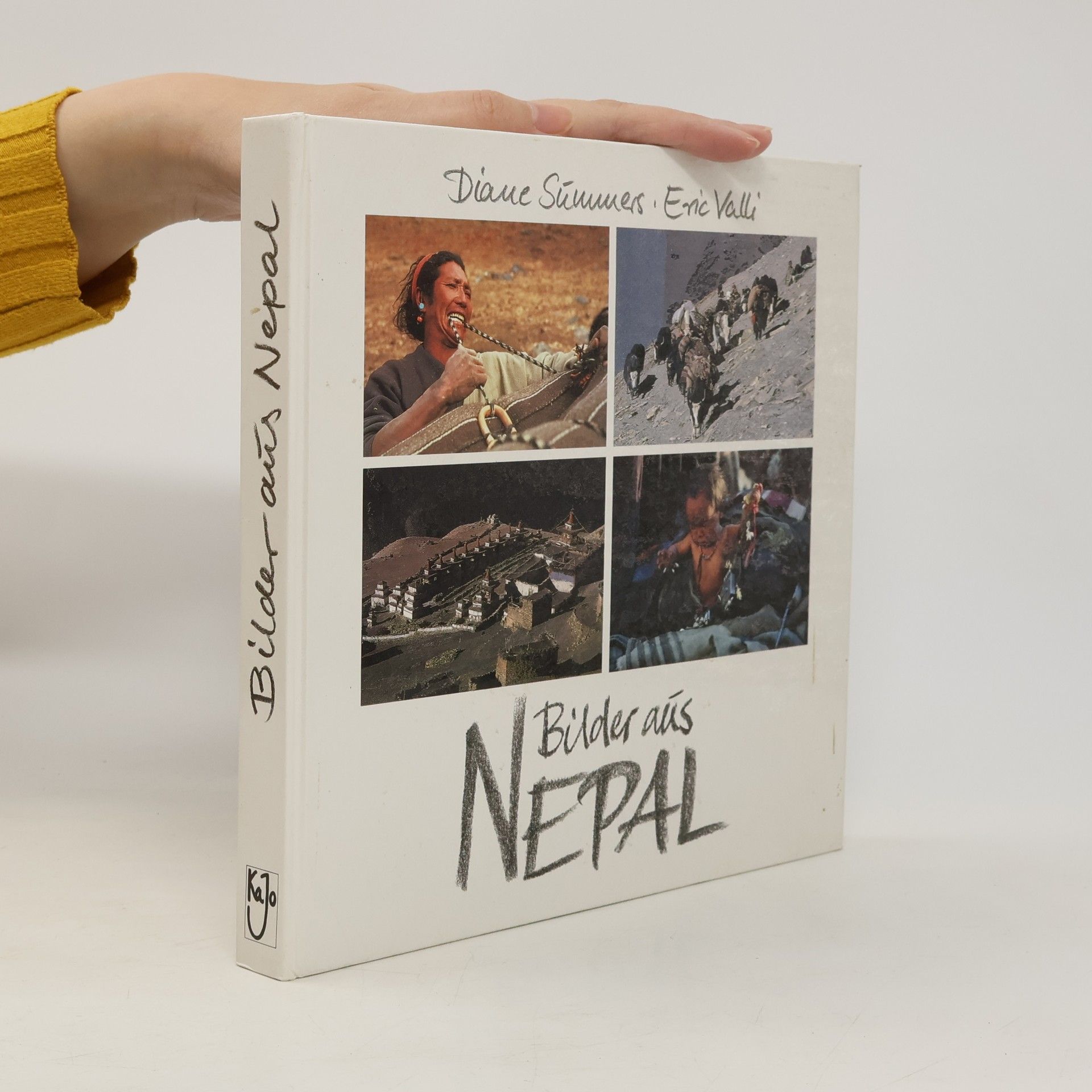 Diane Summers Bilder aus Nepal