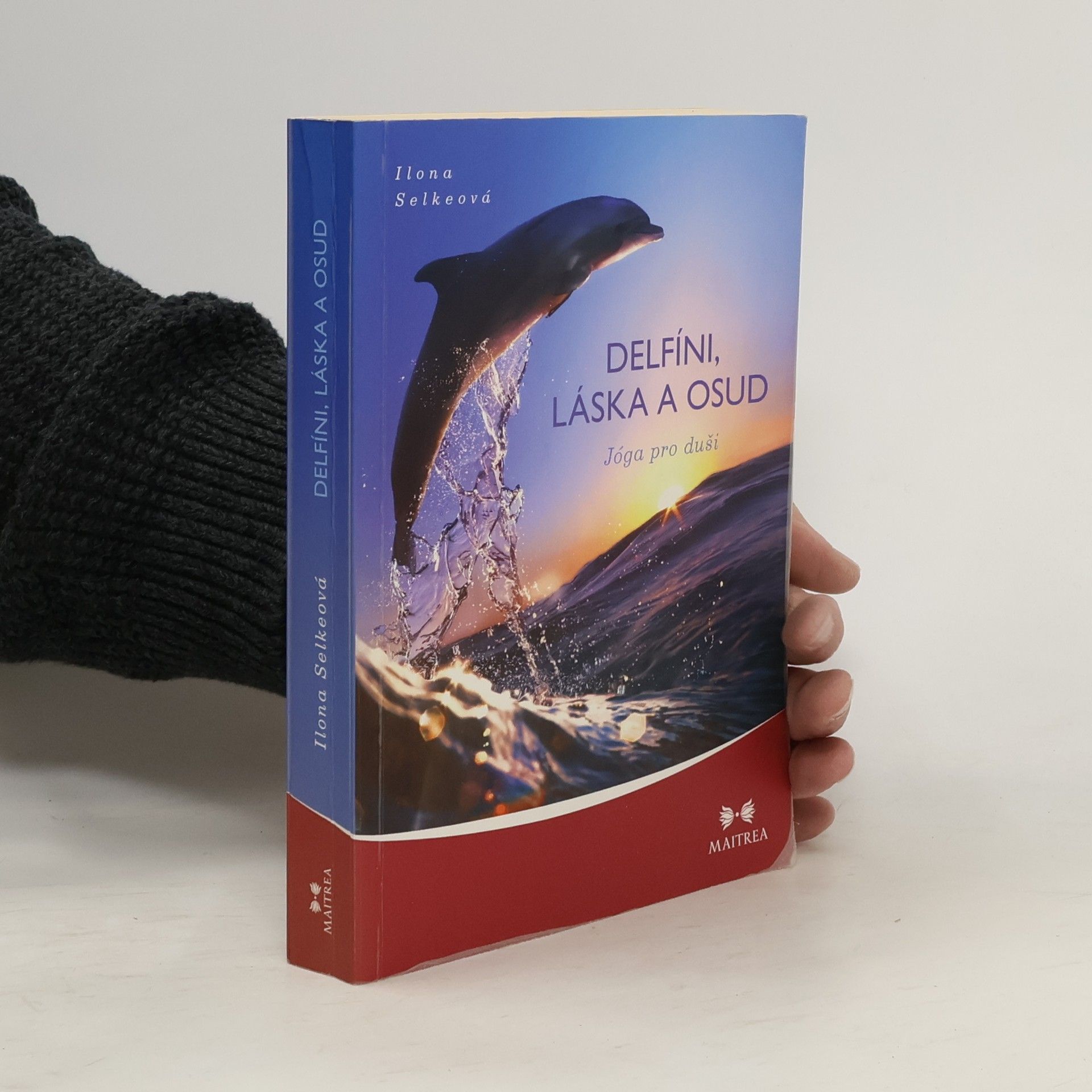 Delfíni, láska a osud