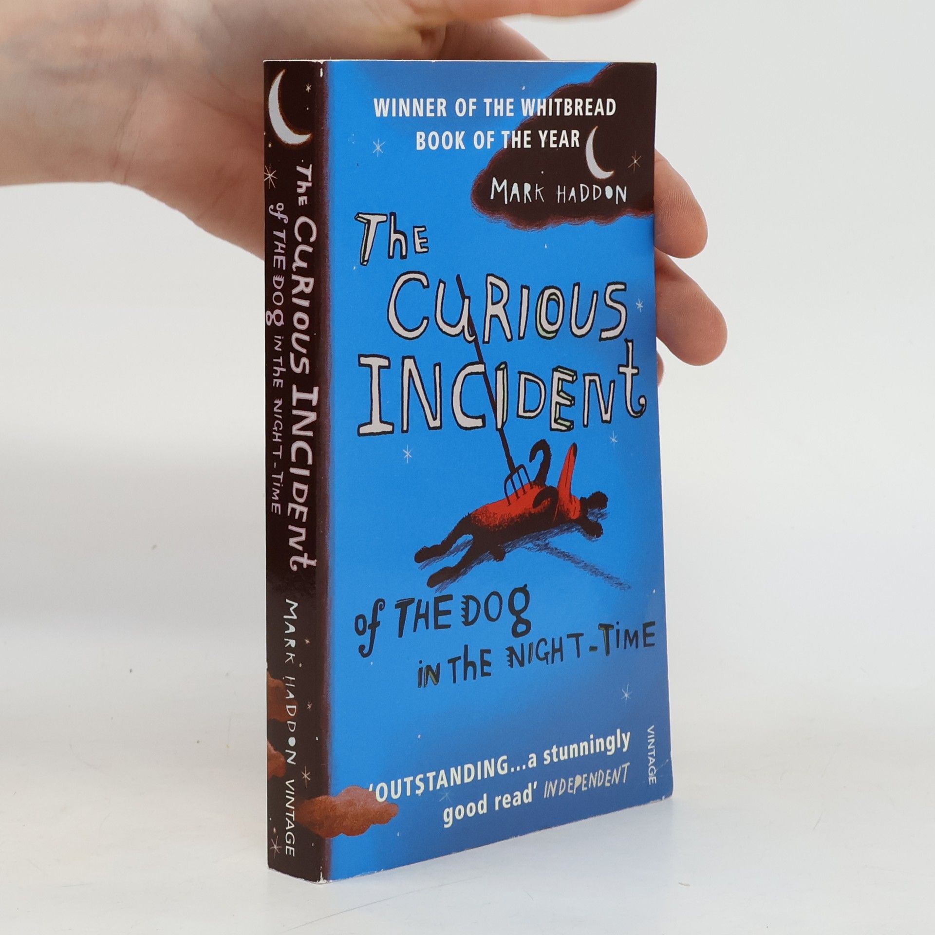 Mark Haddon The Curious Incident of The Dog in The Night-Time